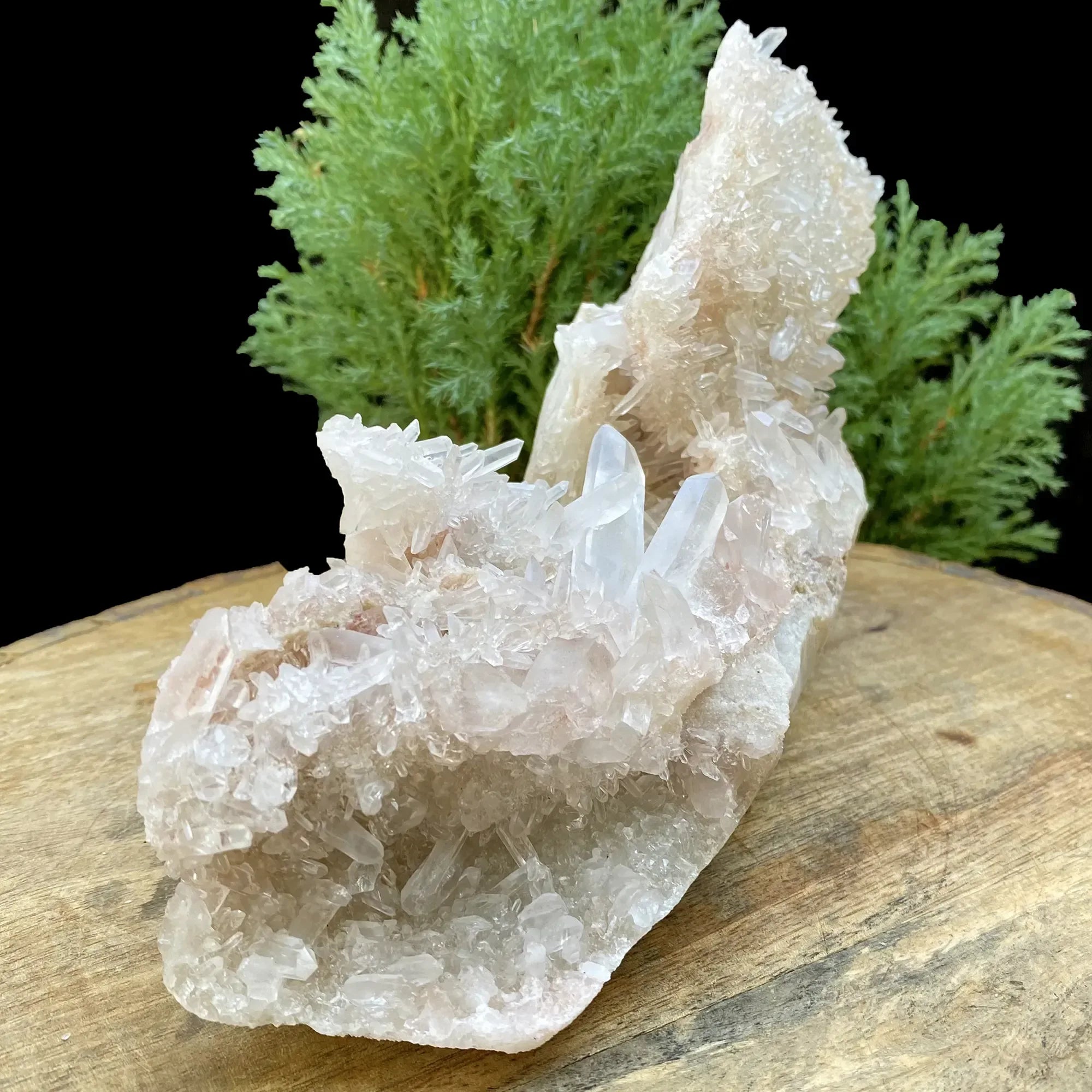Natural Himalayan Pink & White Quartz Cluster 1200g Himalayan Quartz