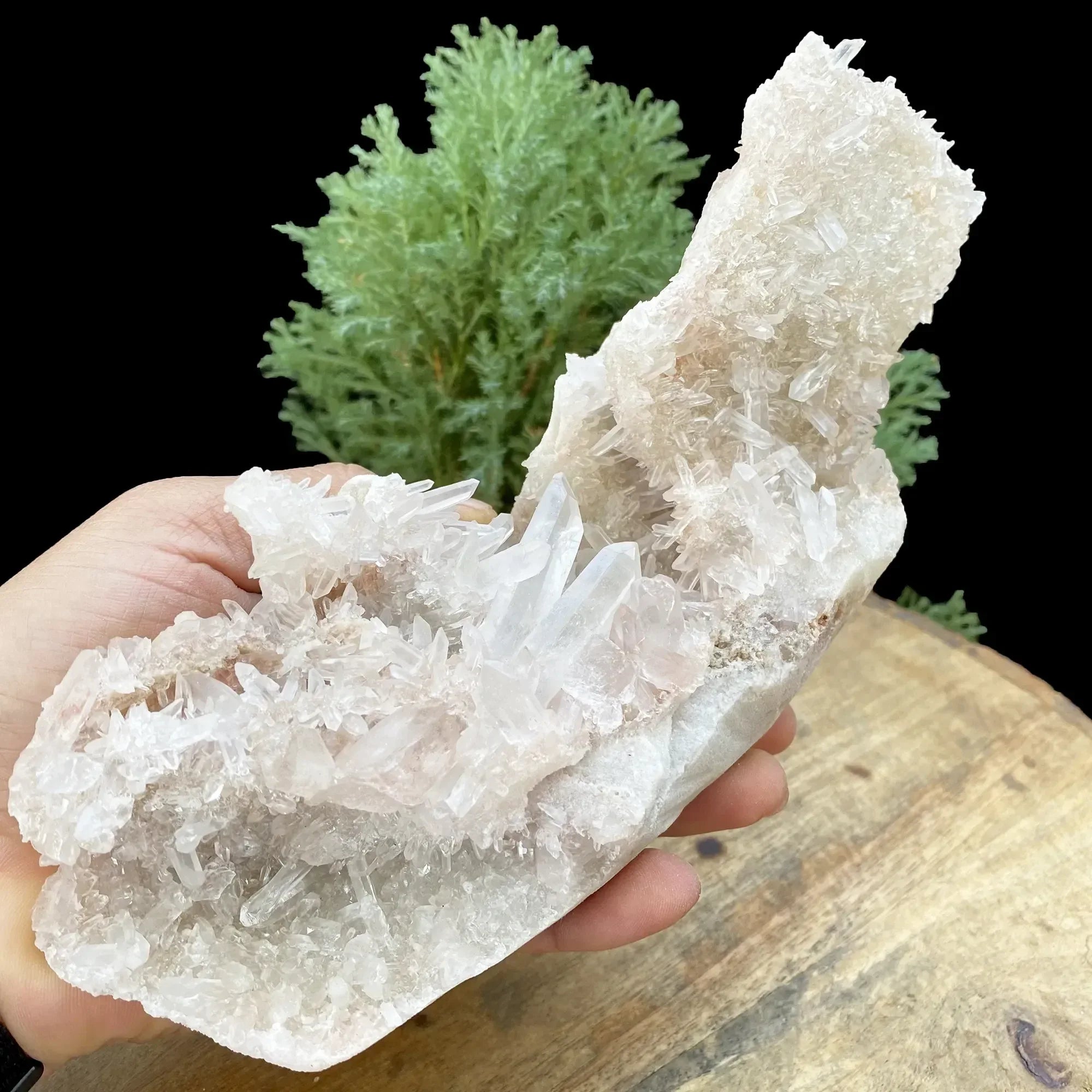 Natural Himalayan Pink & White Quartz Cluster 1200g Himalayan Quartz