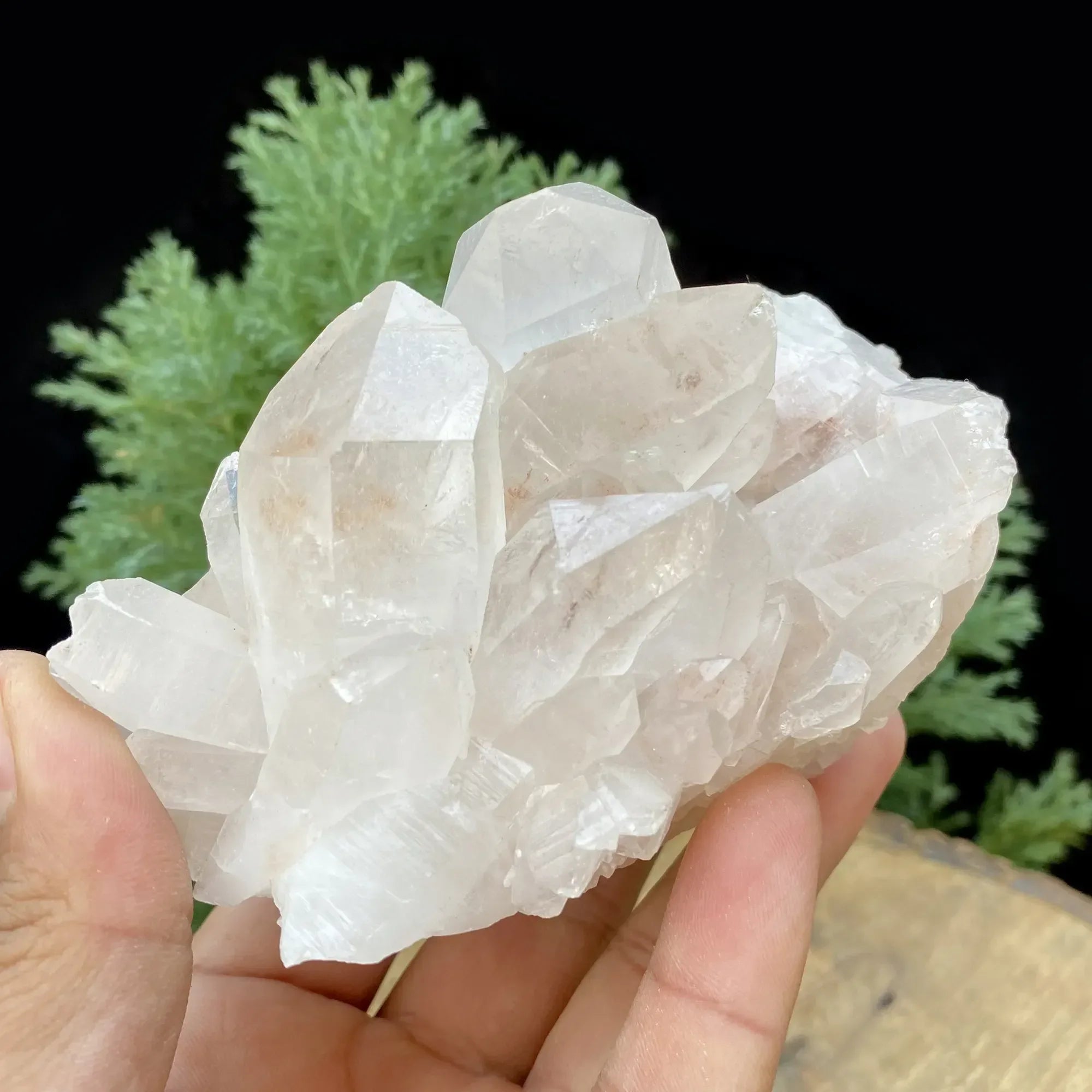 Natural Himalayan Pink Quartz Cluster 520g Himalayan Quartz