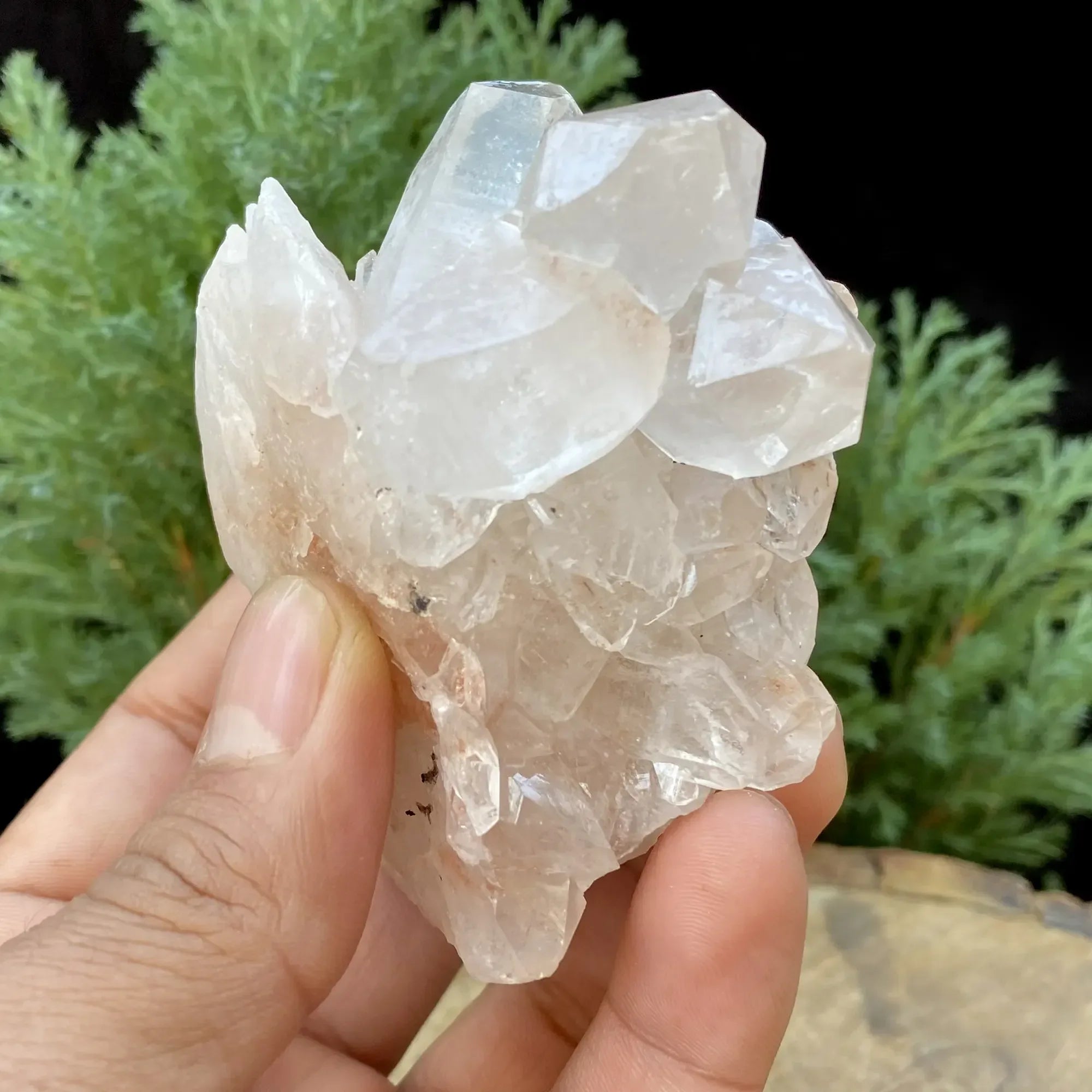 Natural Himalayan Pink Quartz Cluster 255g Himalayan Quartz