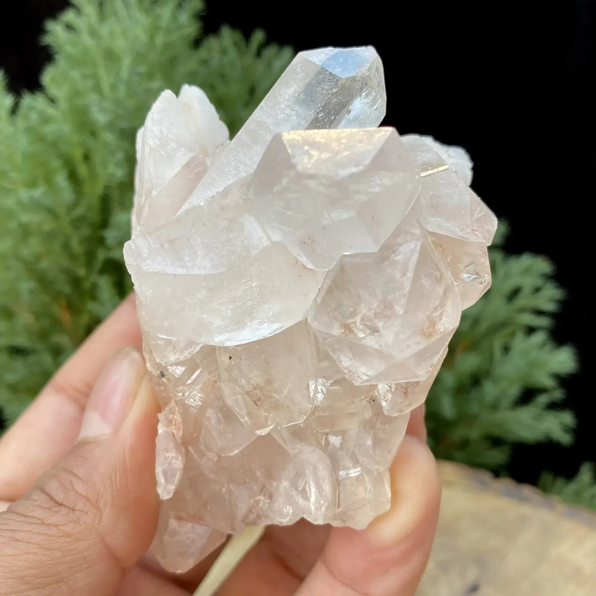 Natural Himalayan Pink Quartz Cluster 255g Himalayan Quartz