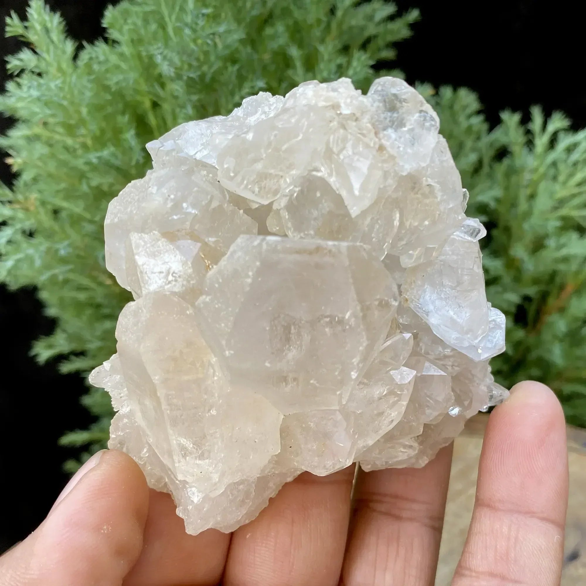 Natural Himalayan White Quartz Cluster 195g Himalayan Quartz