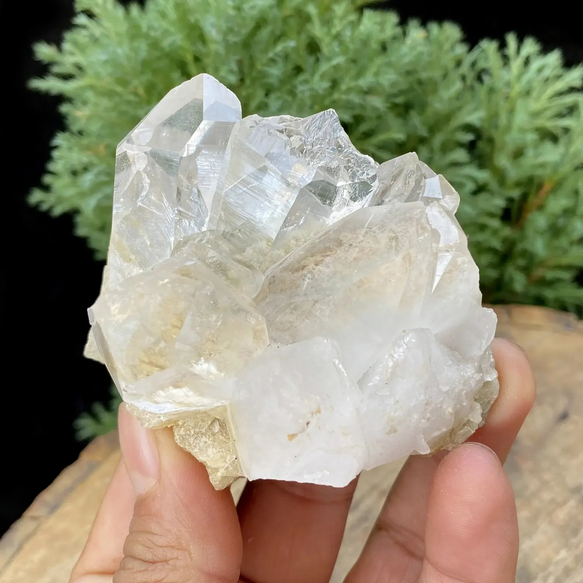Natural Himalayan White Quartz Cluster 210g Himalayan Quartz