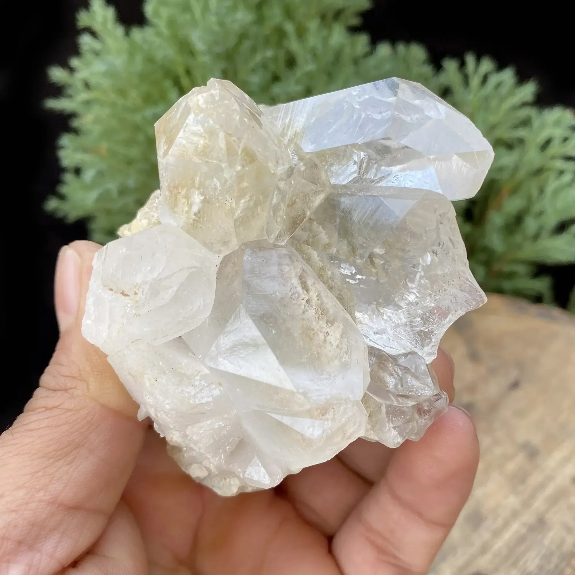 Natural Himalayan White Quartz Cluster 210g Himalayan Quartz
