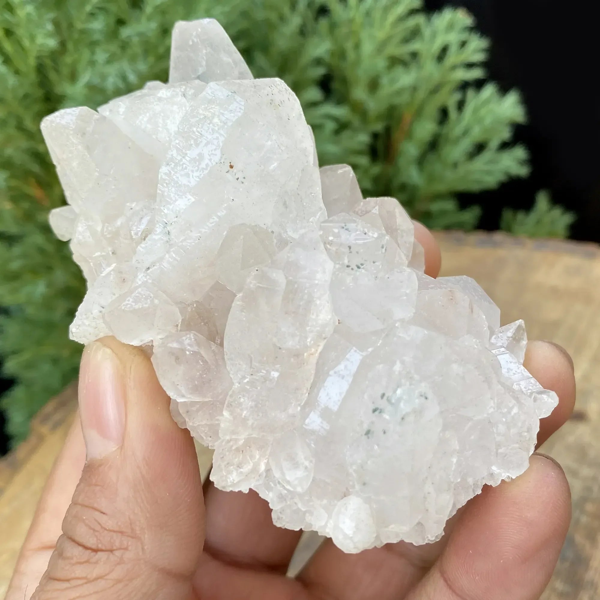 Natural Himalayan White Quartz Cluster 160g Himalayan Quartz