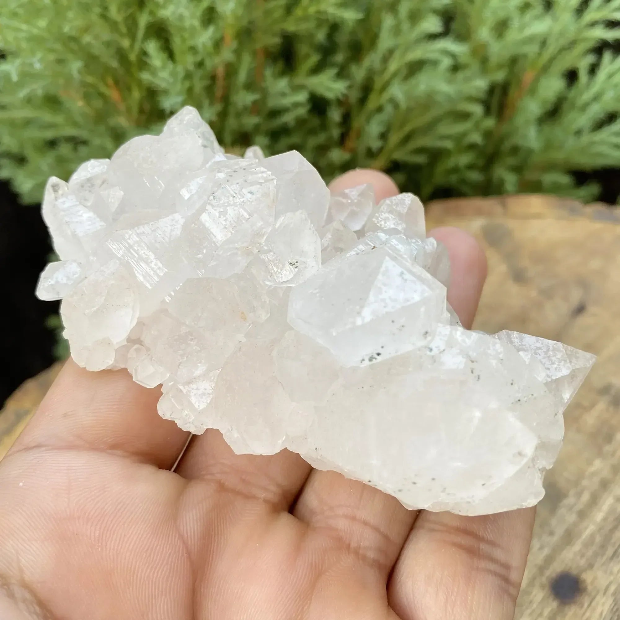 Natural Himalayan White Quartz Cluster 160g Himalayan Quartz