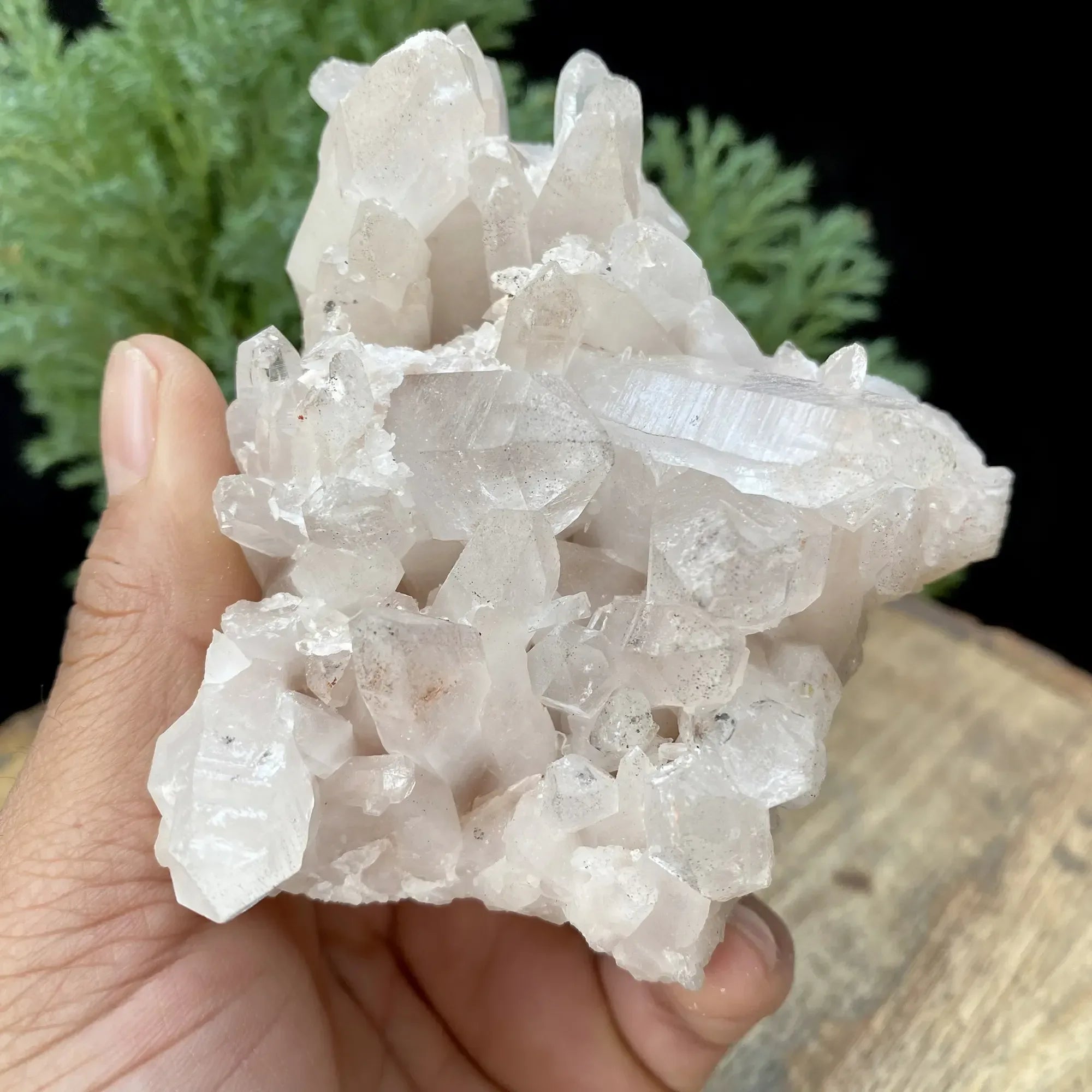 Natural HimalayanPink Quartz Cluster Himalayan Quartz