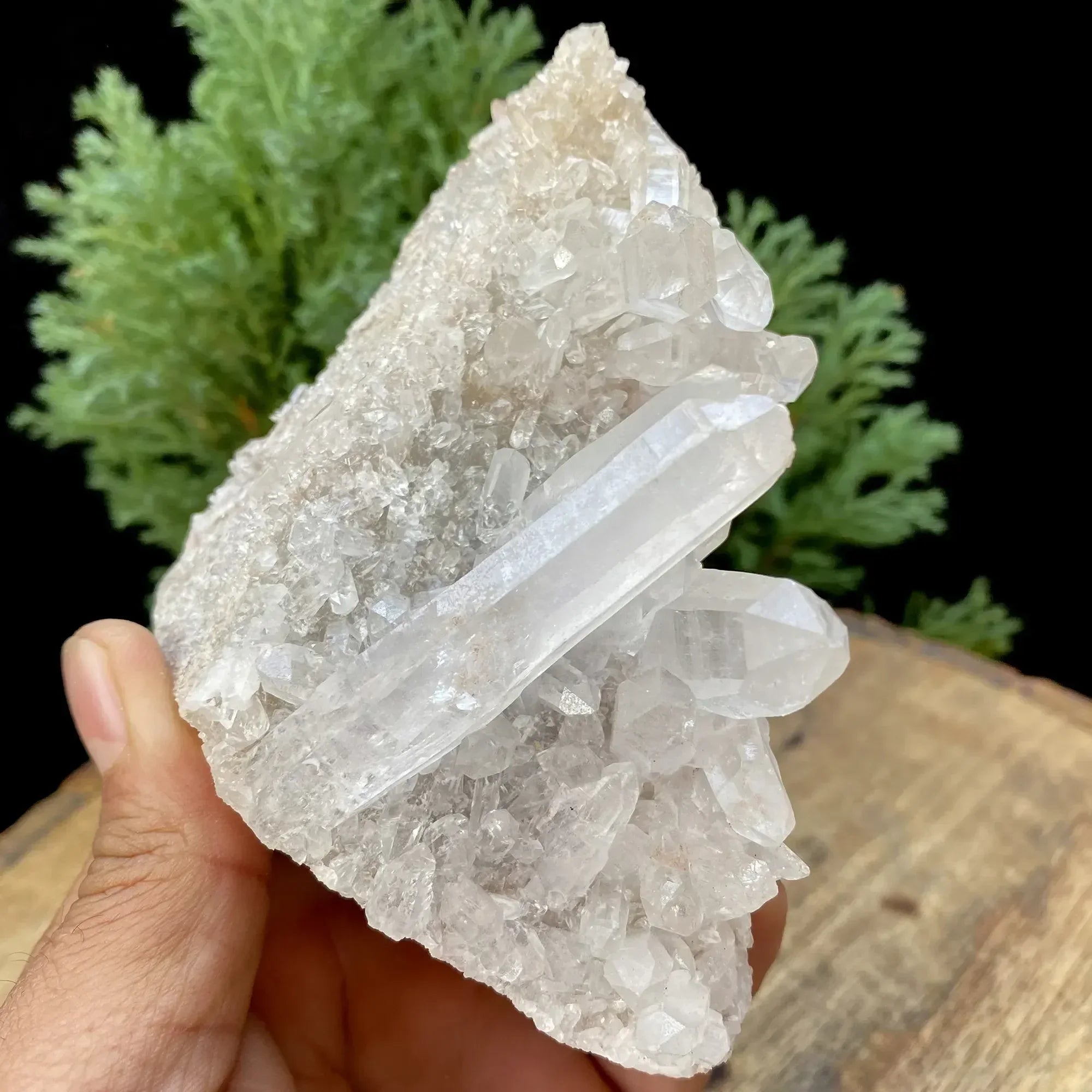 Natural Himalayan White Quartz Cluster 315g Himalayan Quartz