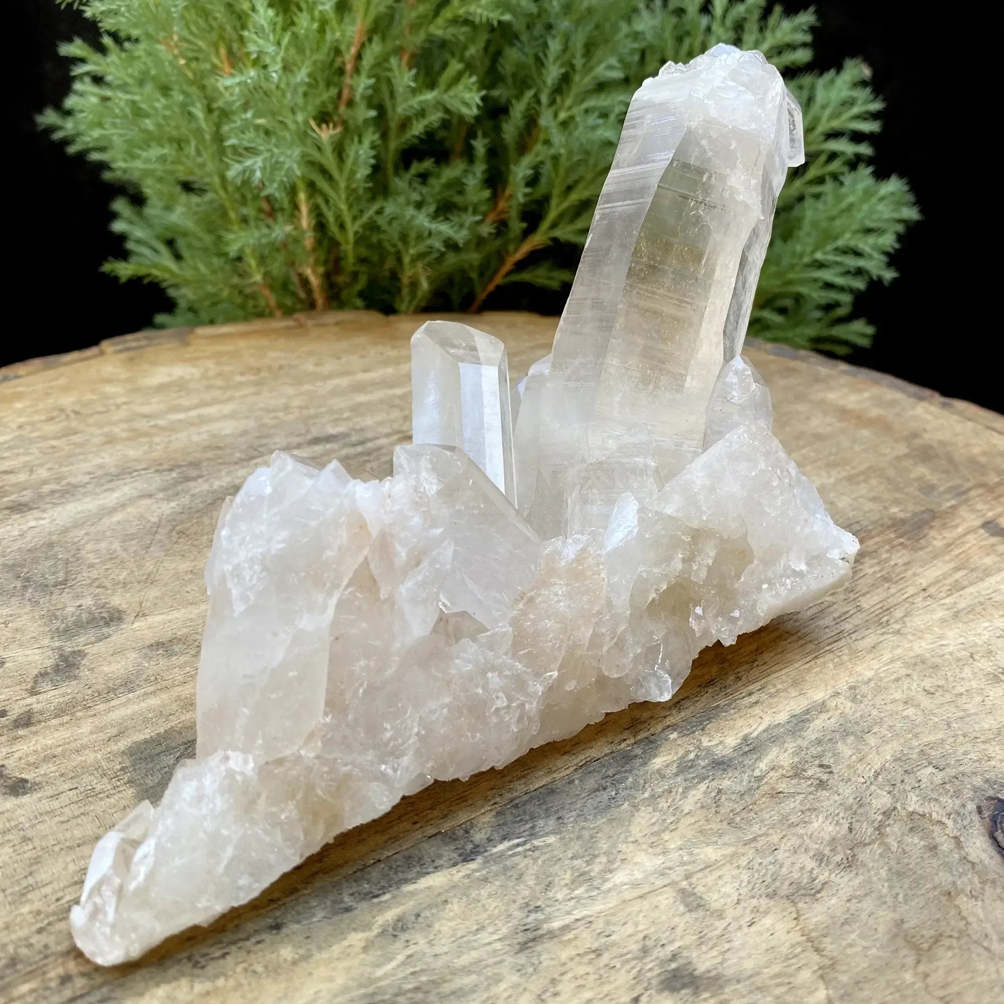 Natural Himalayan White Quartz Cluster 360g Himalayan Quartz