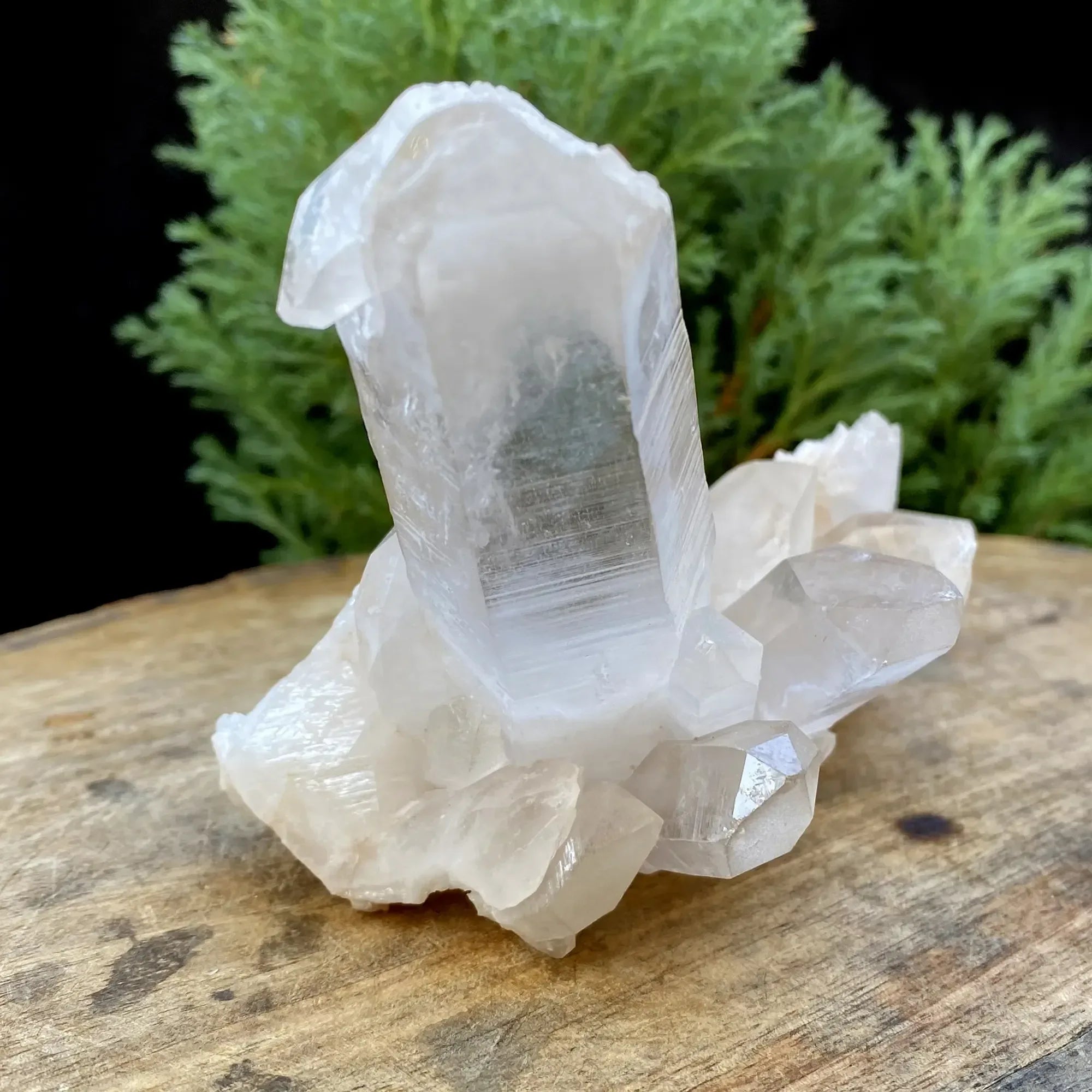 Natural Himalayan White Quartz Cluster 360g Himalayan Quartz