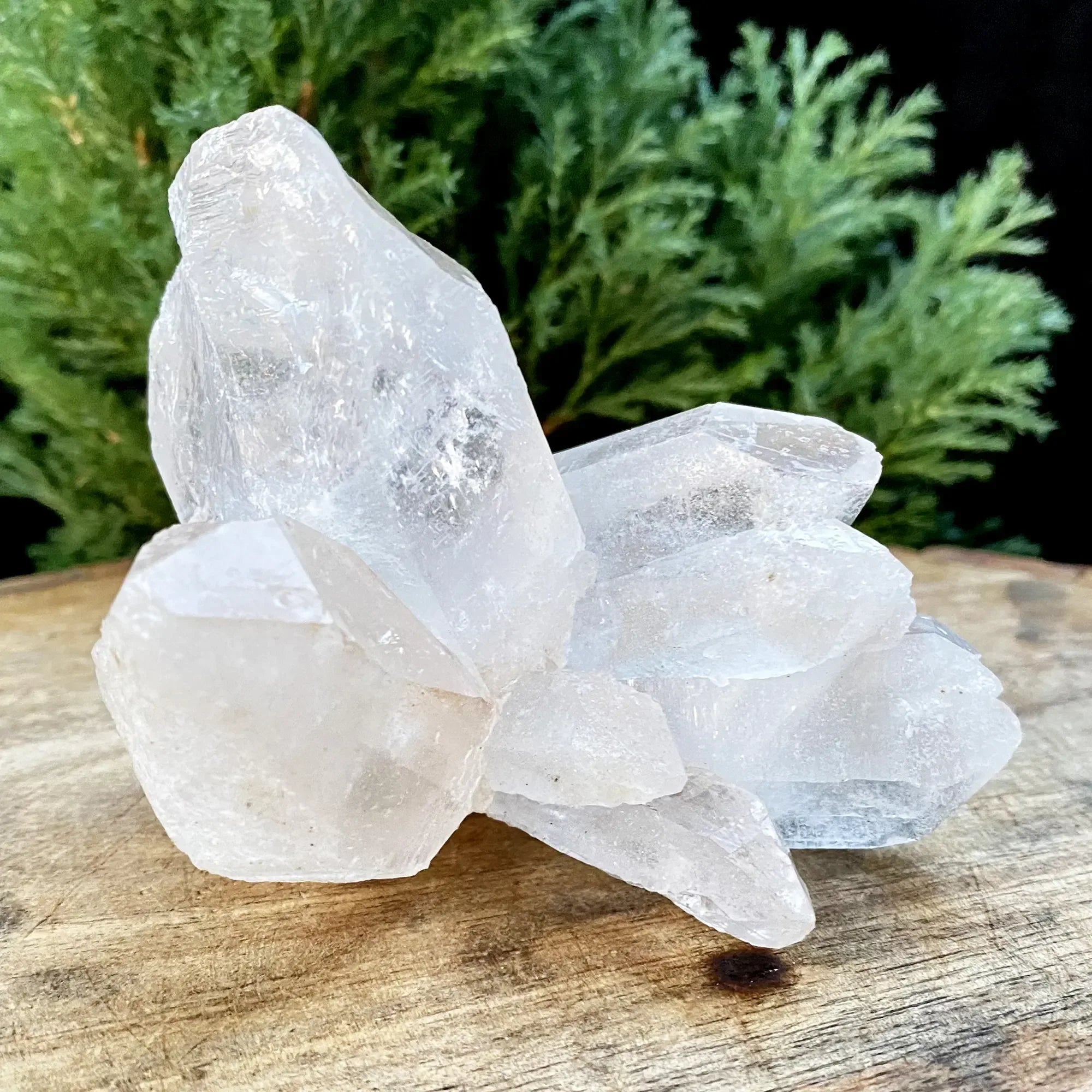 Natural Himalayan White Quartz Cluster 295g Himalayan Quartz