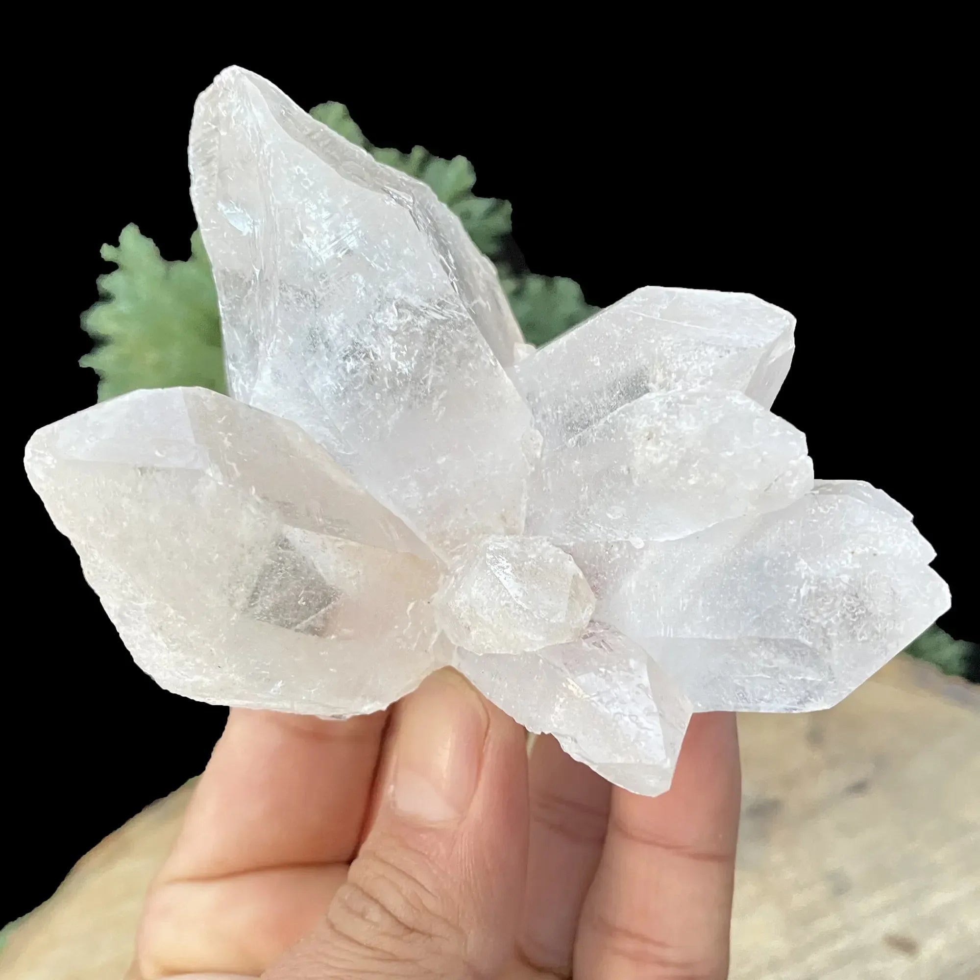 Natural Himalayan White Quartz Cluster 295g Himalayan Quartz