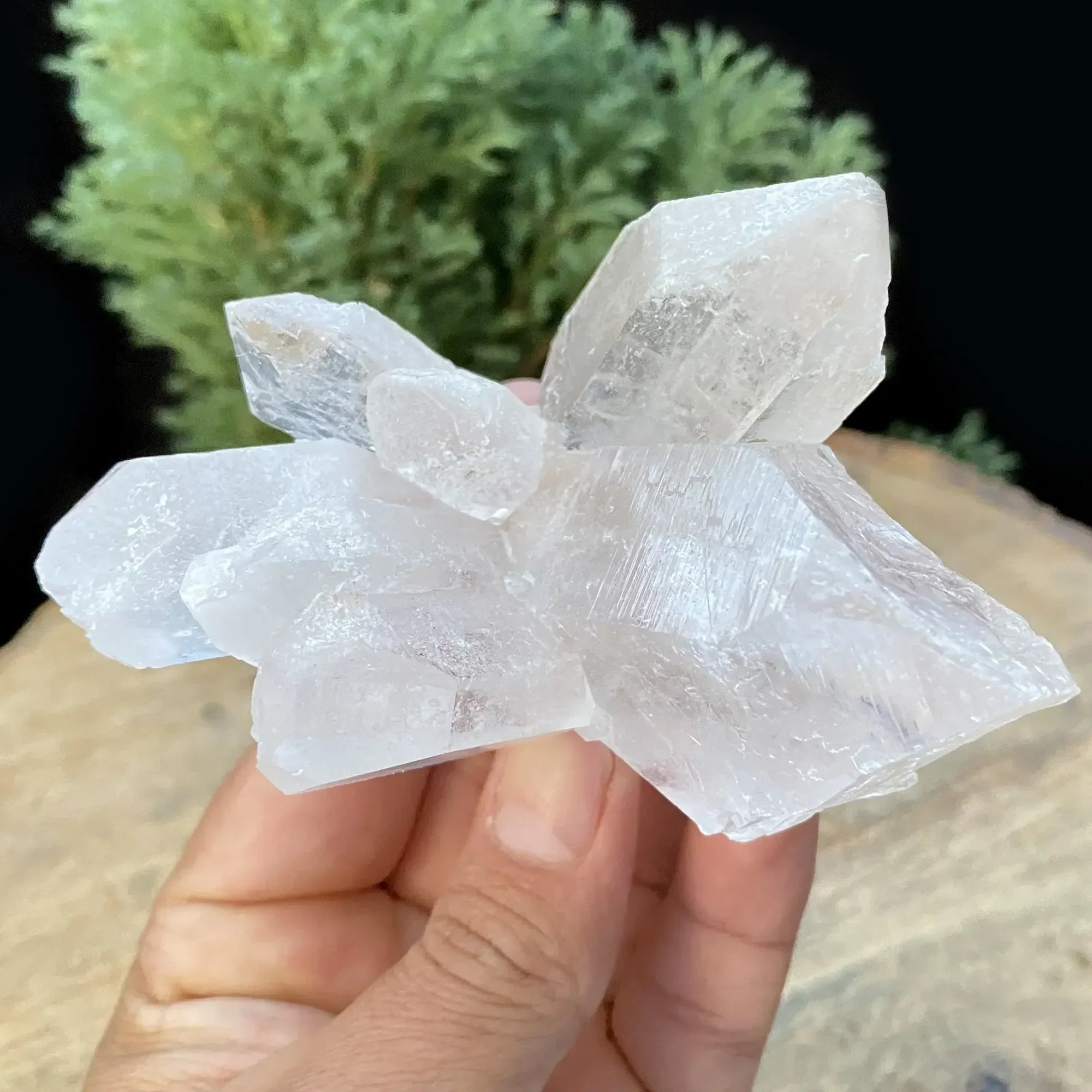 Natural Himalayan White Quartz Cluster 295g Himalayan Quartz