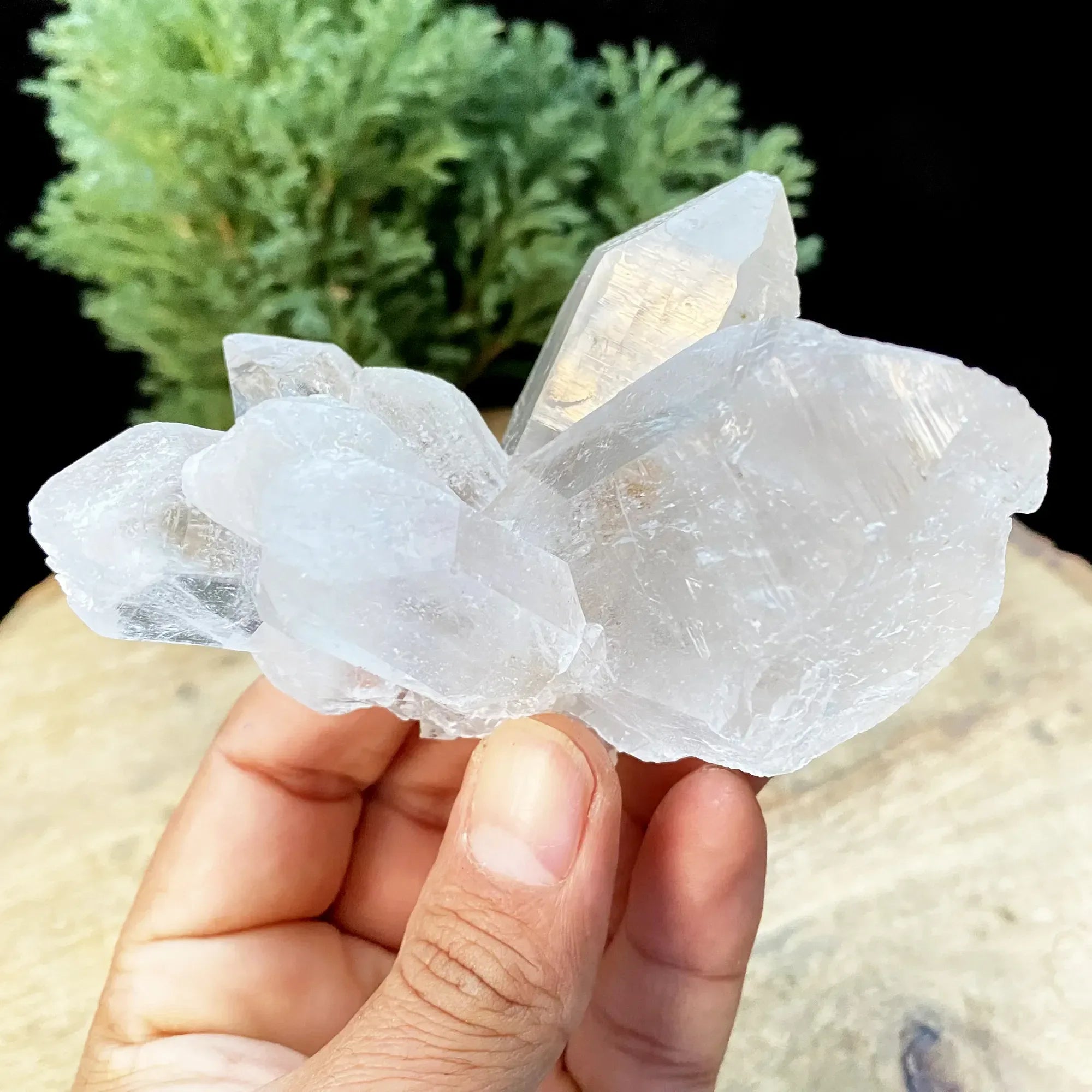 Natural Himalayan White Quartz Cluster 295g Himalayan Quartz