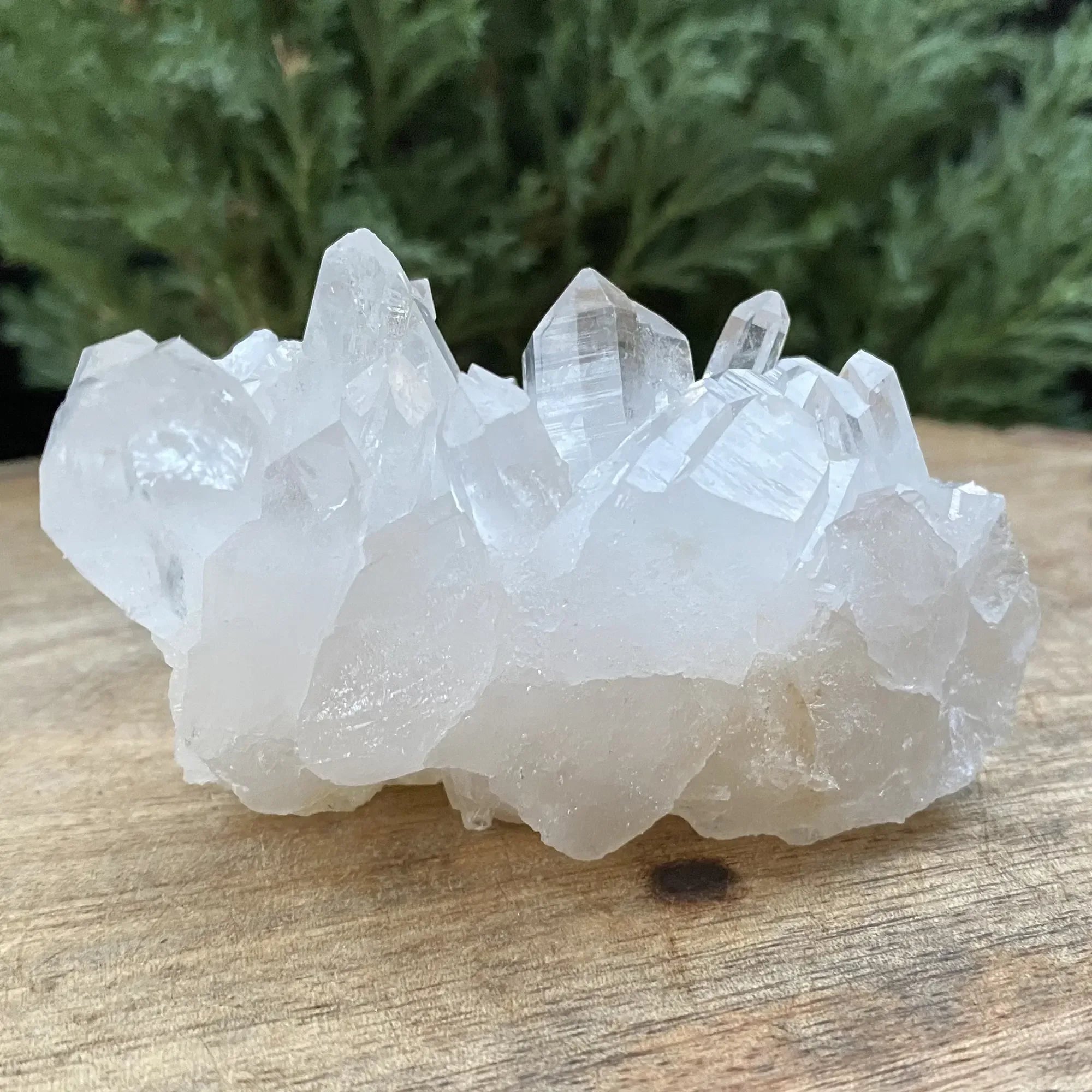 White Himalayan Quartz Samadhi Crystal Cluster from Himalya Quartz, raw healing collector display piece with natural crystal formations.