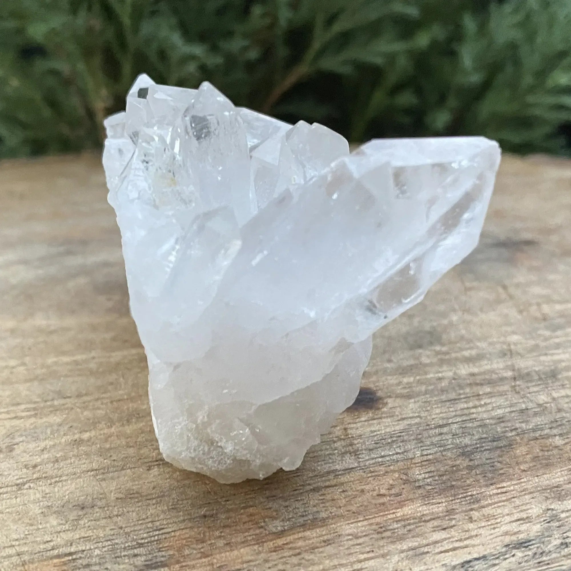 White Himalaya Quartz raw crystal cluster with intricate formations, Himalayan Quartz healing collector display piece by Himalya Quartz.