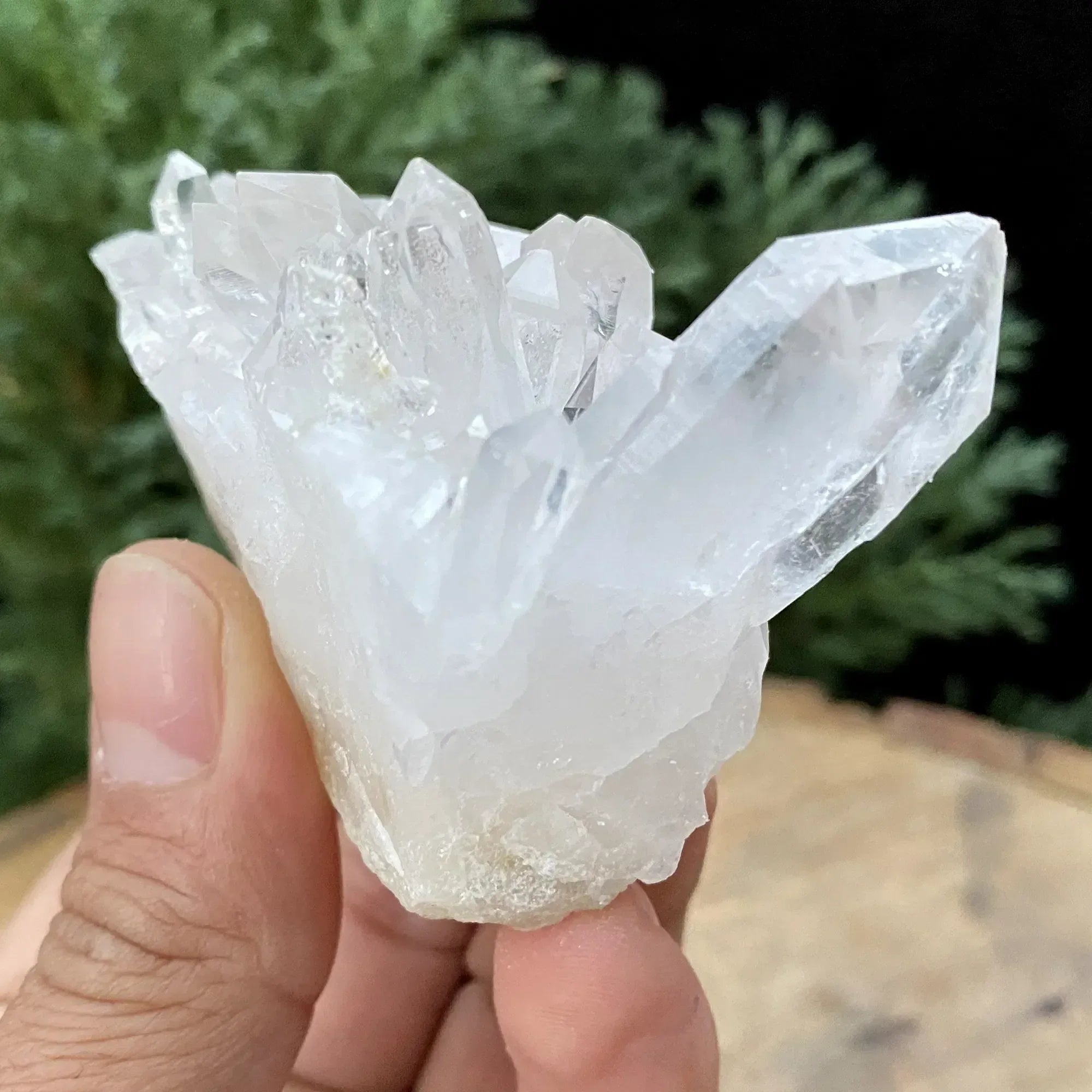 White Himalayan Quartz Samadhi crystal cluster from Himalya Quartz, showing raw quartz crystals on a display collector piece.