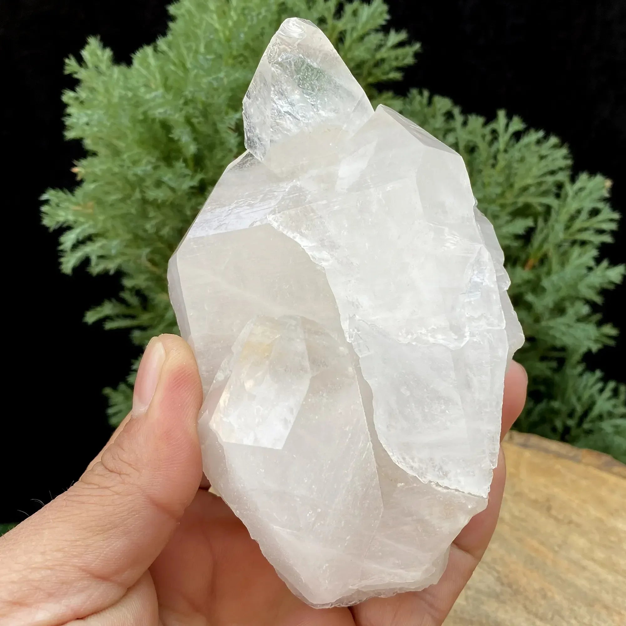 Natural Himalayan White Quartz Cluster 385g Himalayan Quartz
