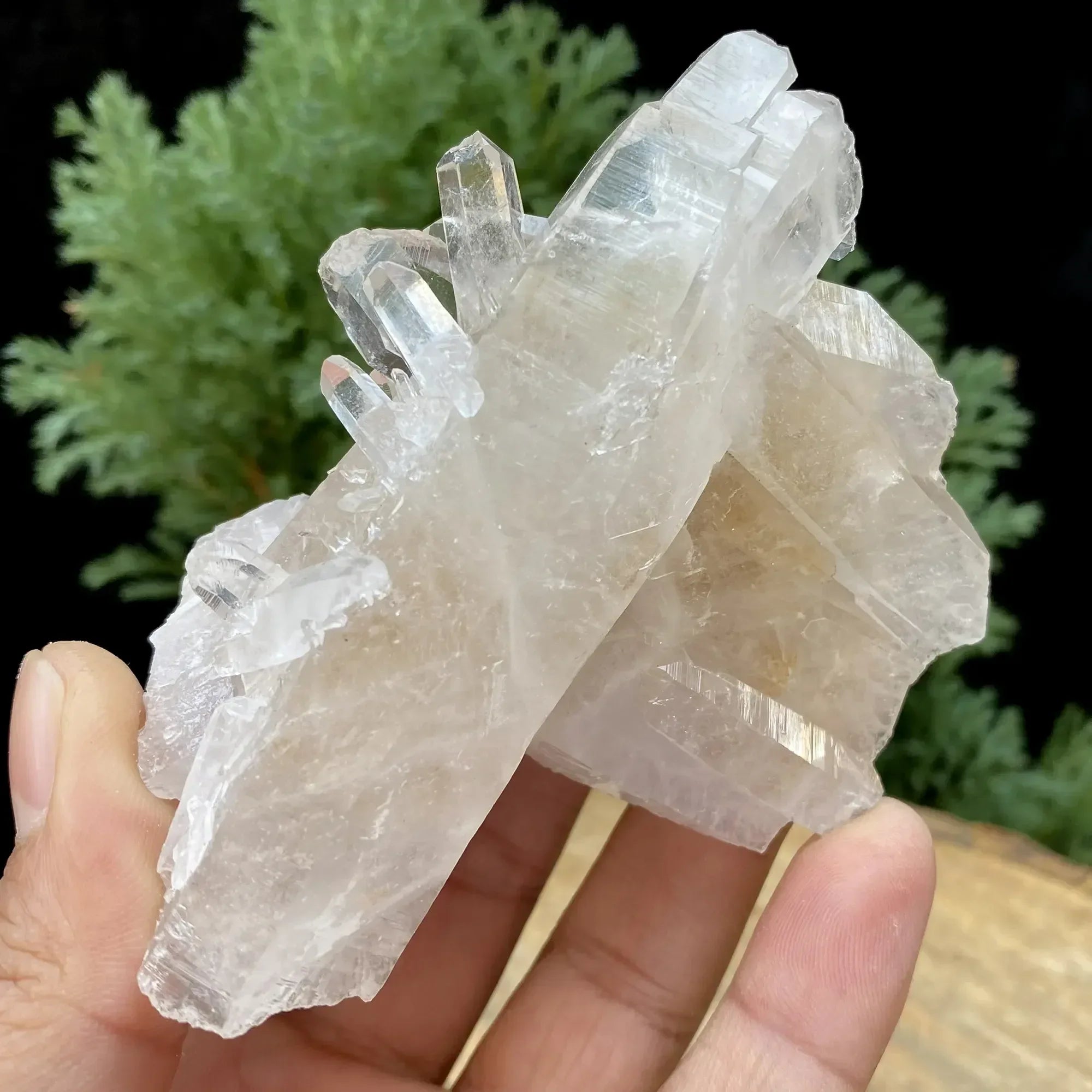 Natural Himalayan White Quartz Cluster 385g Himalayan Quartz