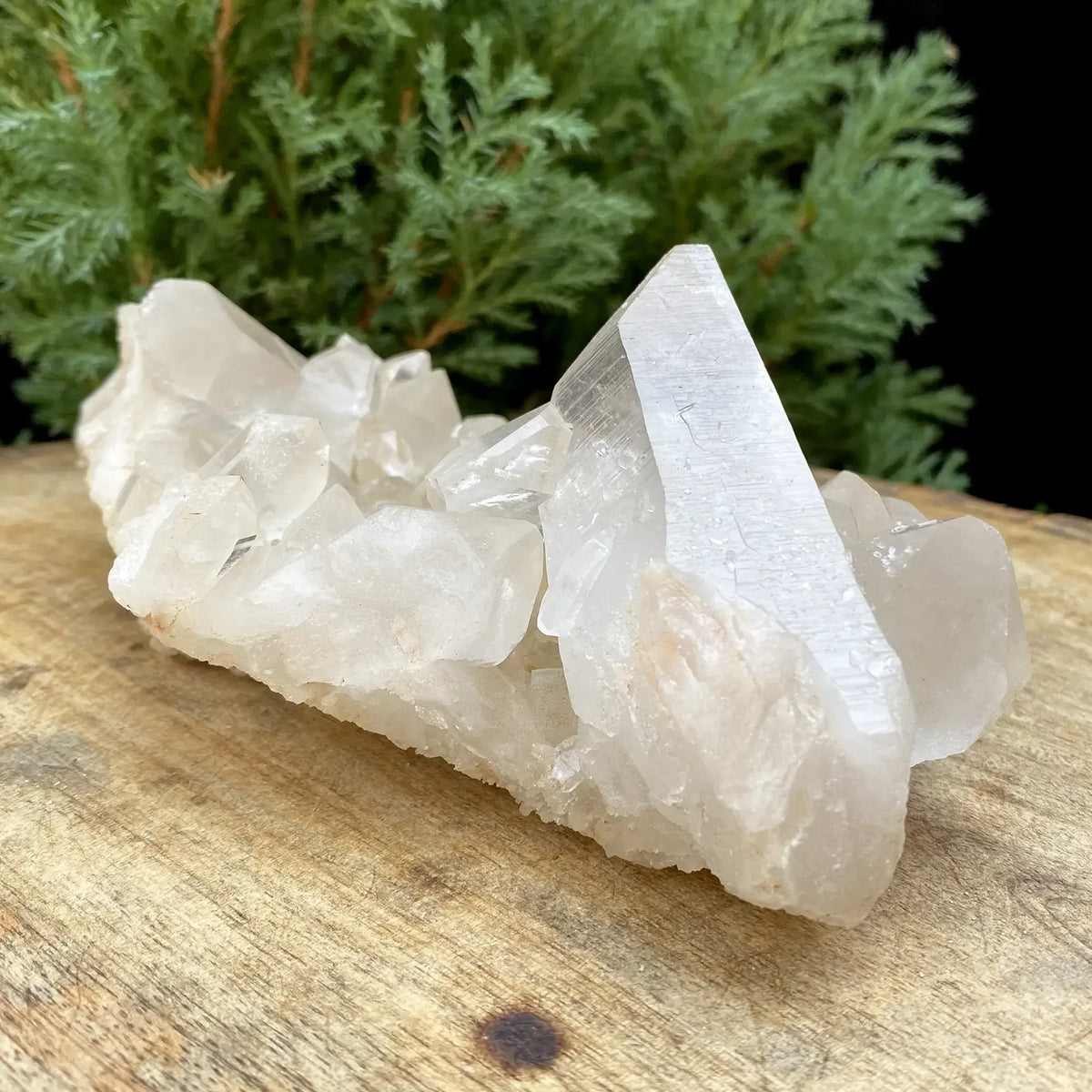 Natural Himalayan White & Yellow Quartz Cluster 410g Himalayan Quartz