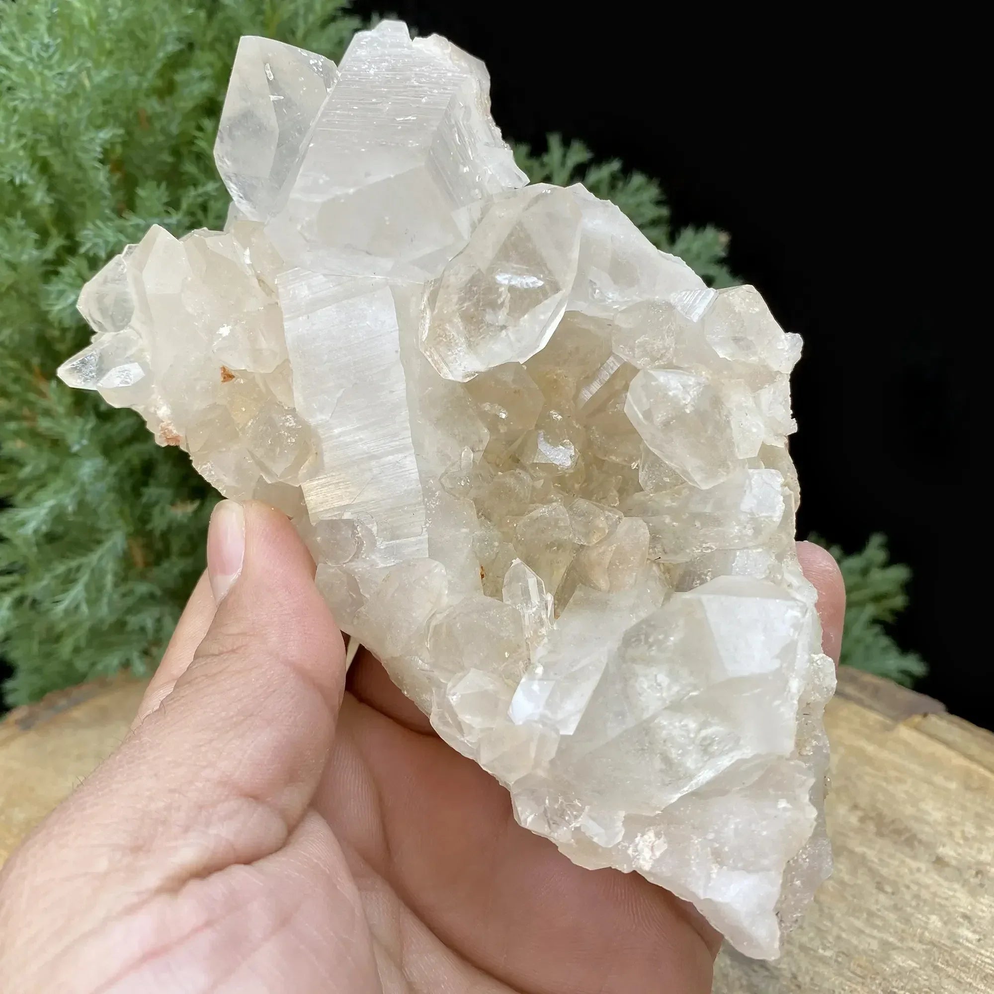 Natural Himalayan White & Yellow Quartz Cluster 410g Himalayan Quartz