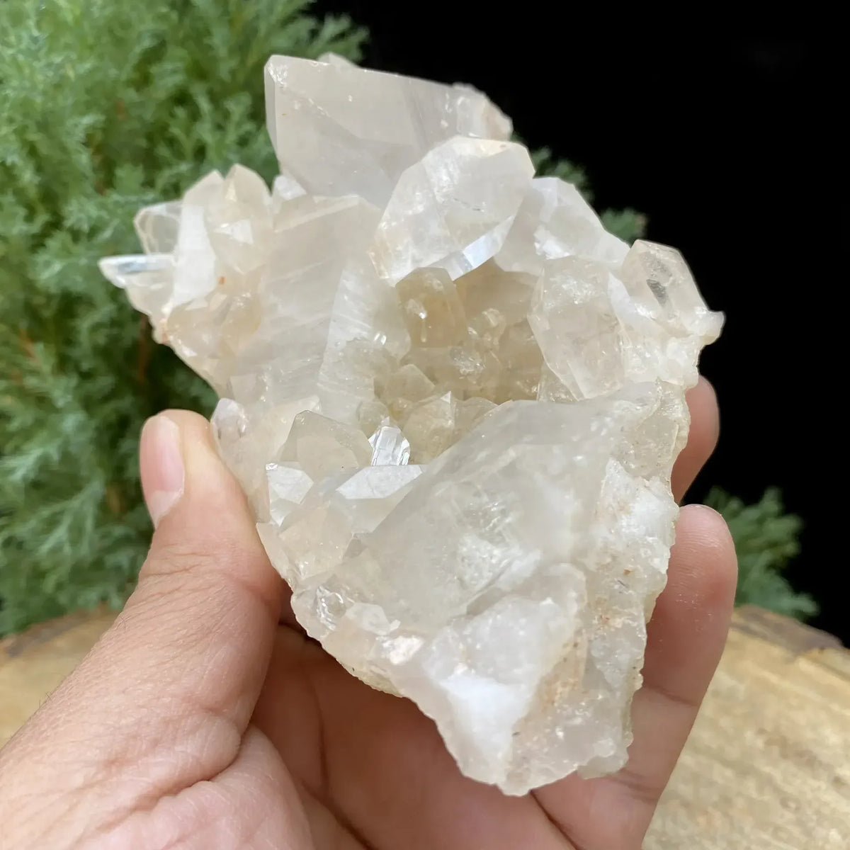 Natural Himalayan White & Yellow Quartz Cluster 410g Himalayan Quartz
