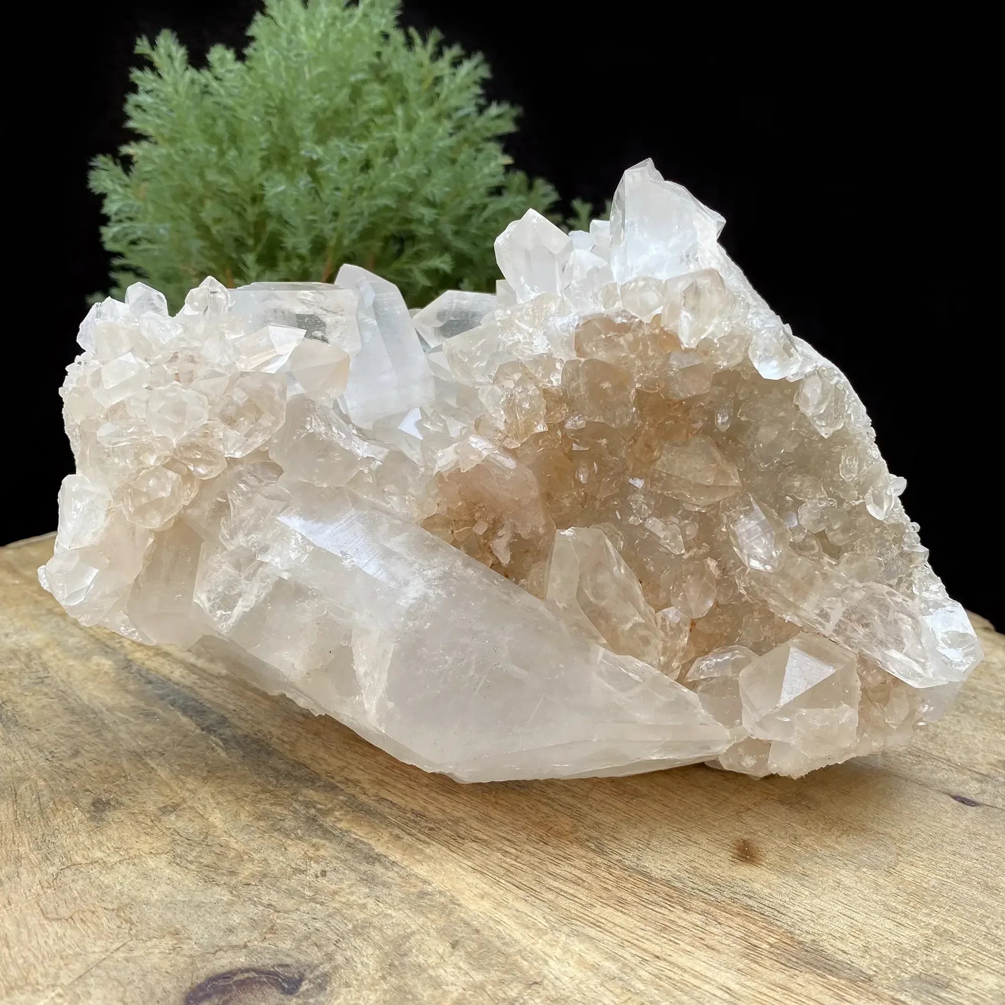 Natural Himalayan Pink & White Quartz Cluster 1905g Himalayan Quartz