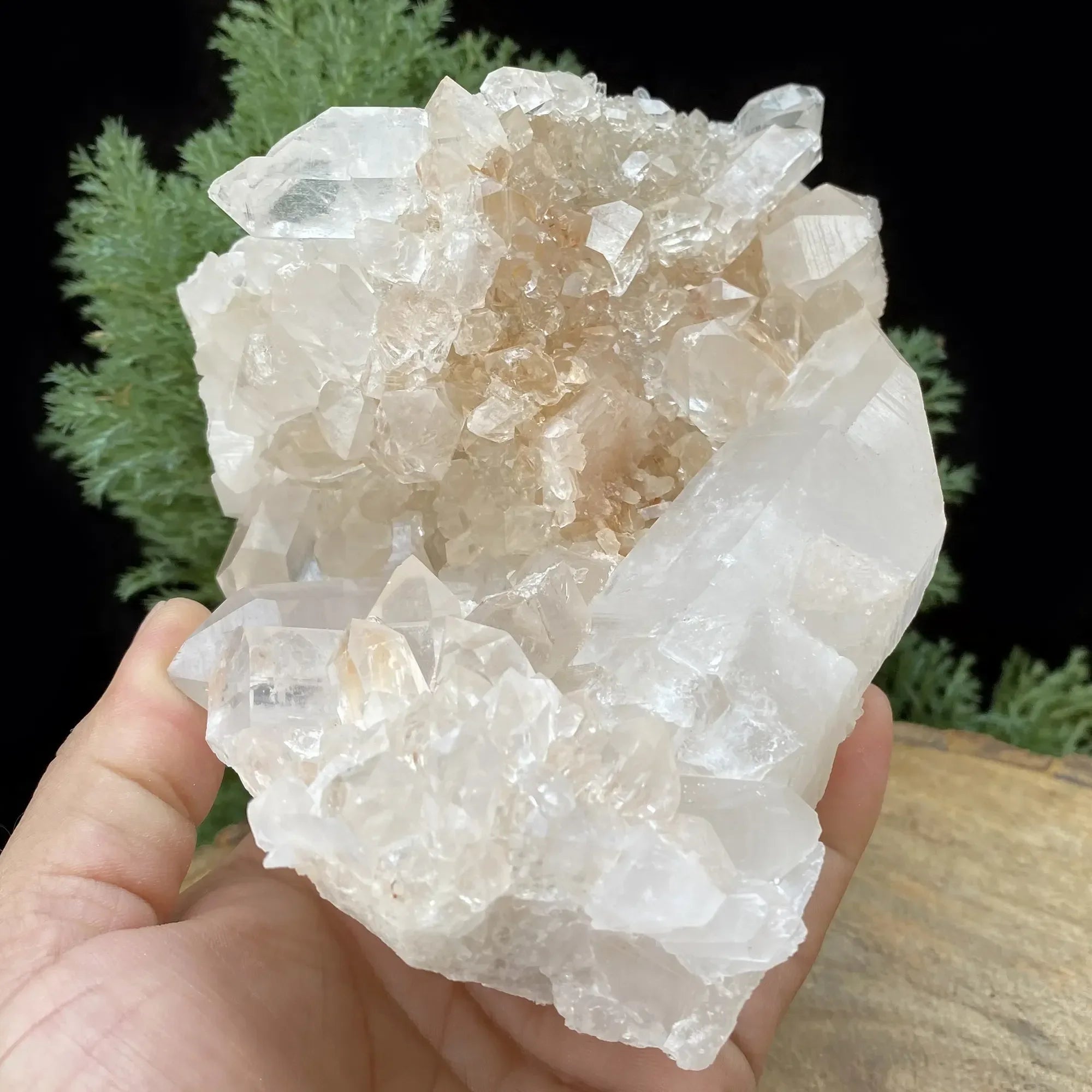 Natural Himalayan Pink & White Quartz Cluster 1905g Himalayan Quartz