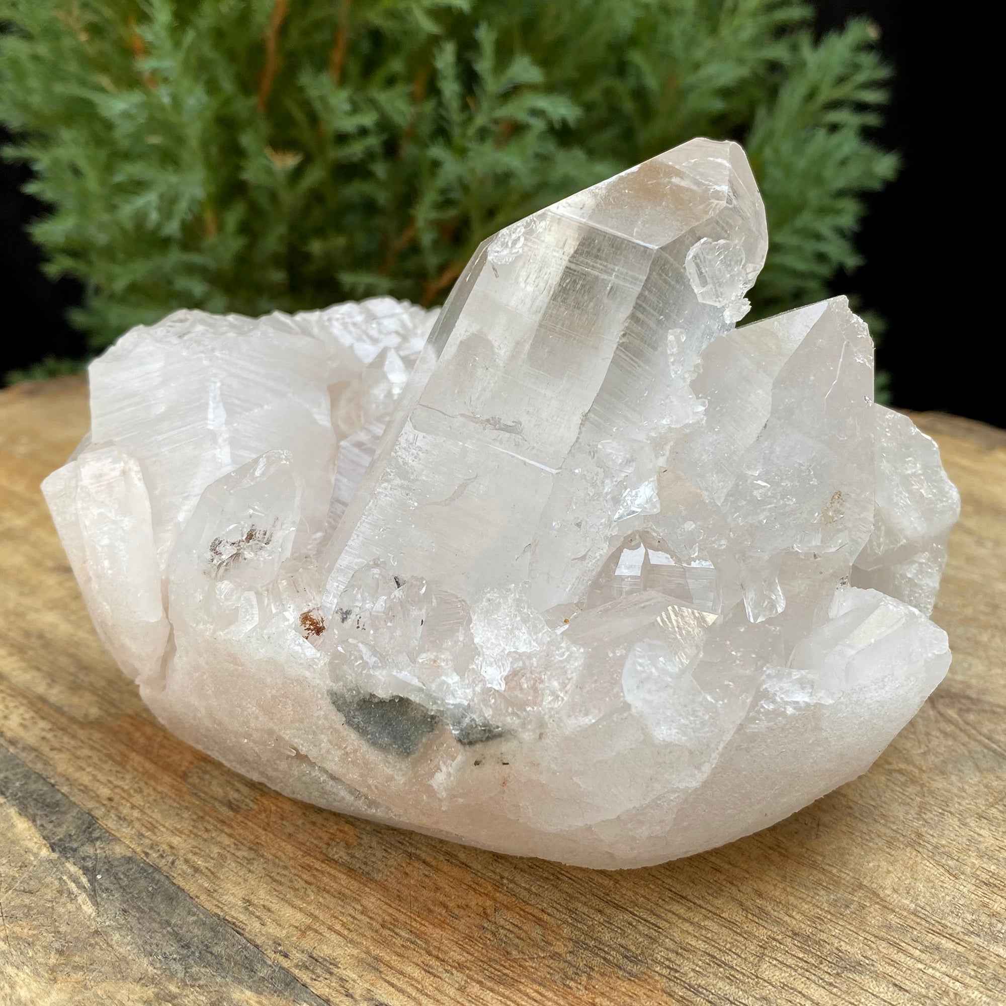 Natural Himalayan White Quartz Cluster 630g