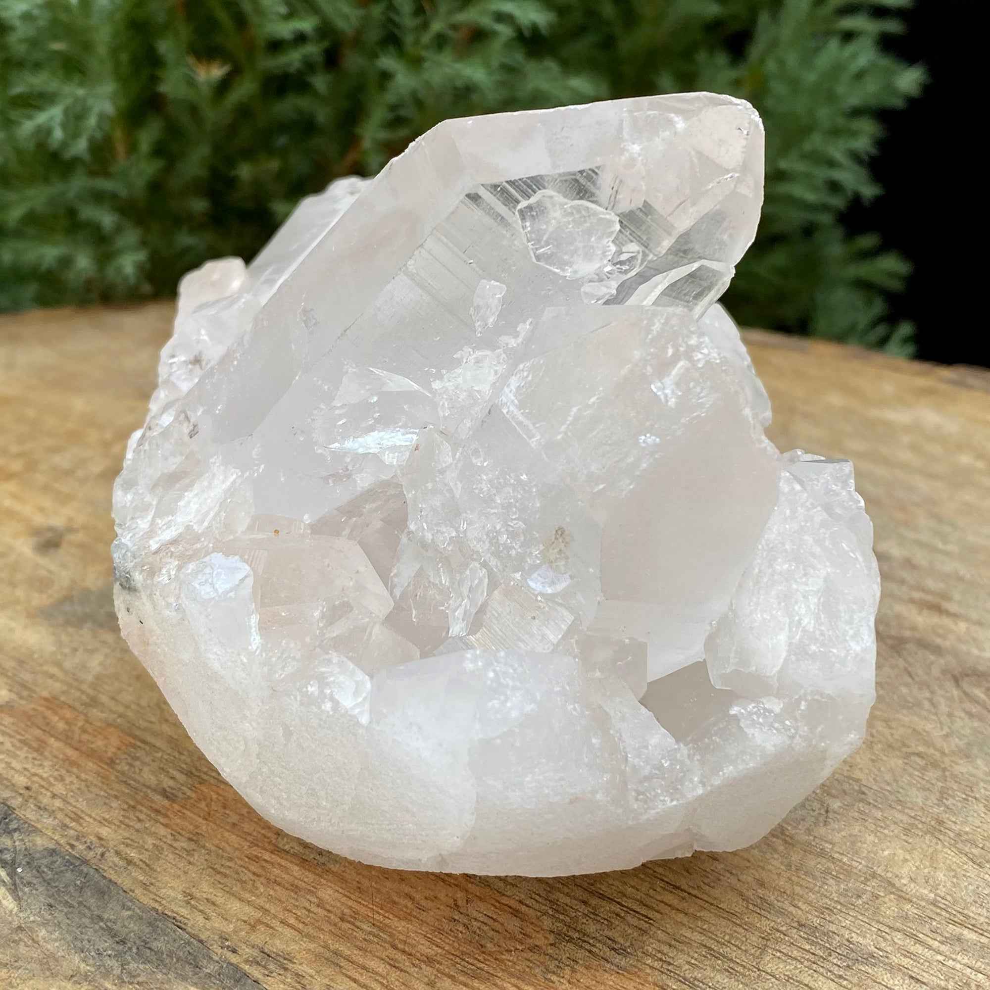 Natural Himalayan White Quartz Cluster 630g