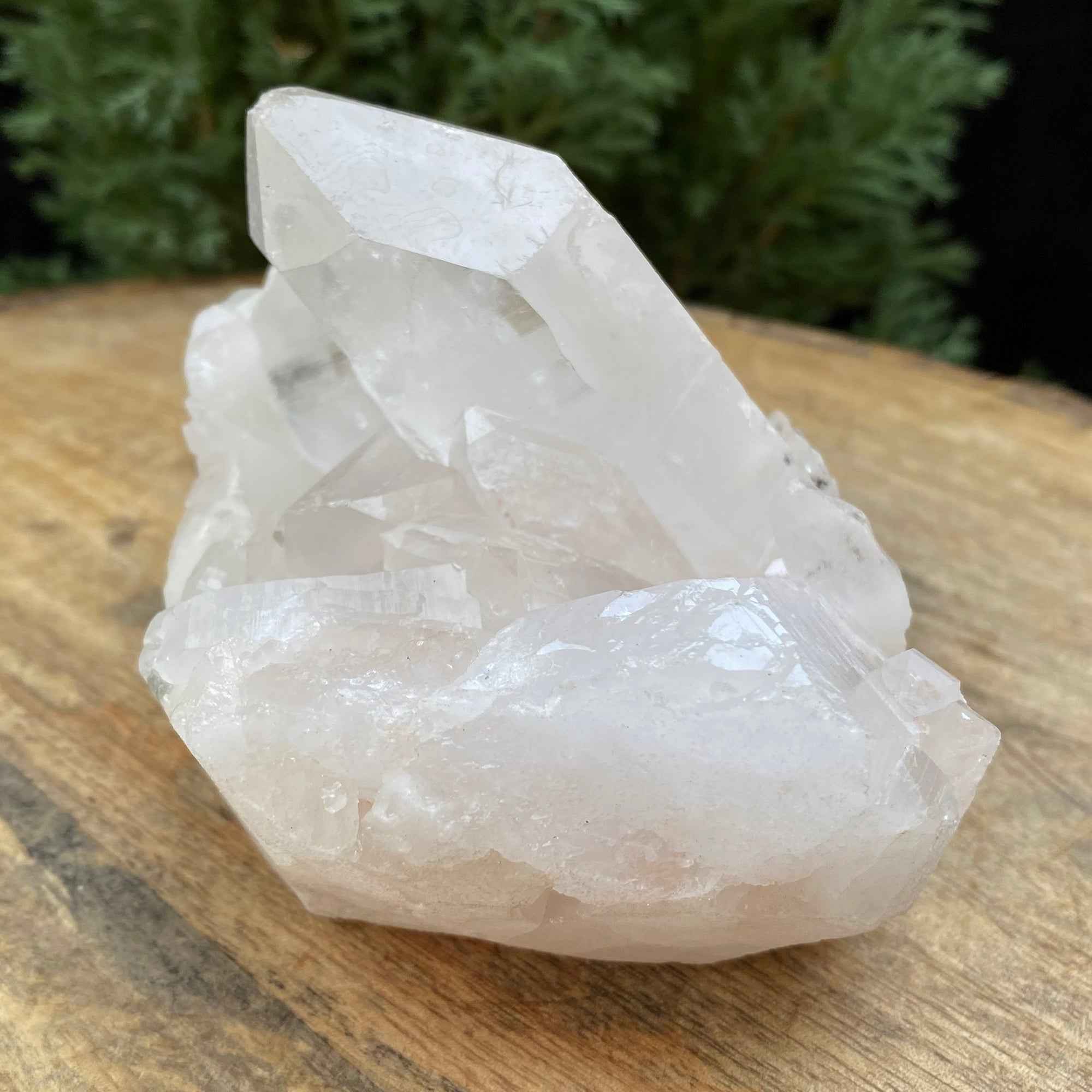 Natural Himalayan White Quartz Cluster 630g