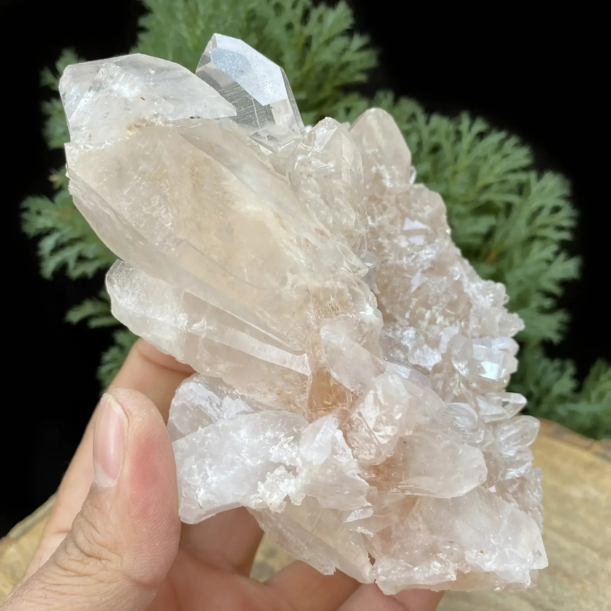 Natural Himalayan Pink Quartz Cluster 580g Himalayan Quartz