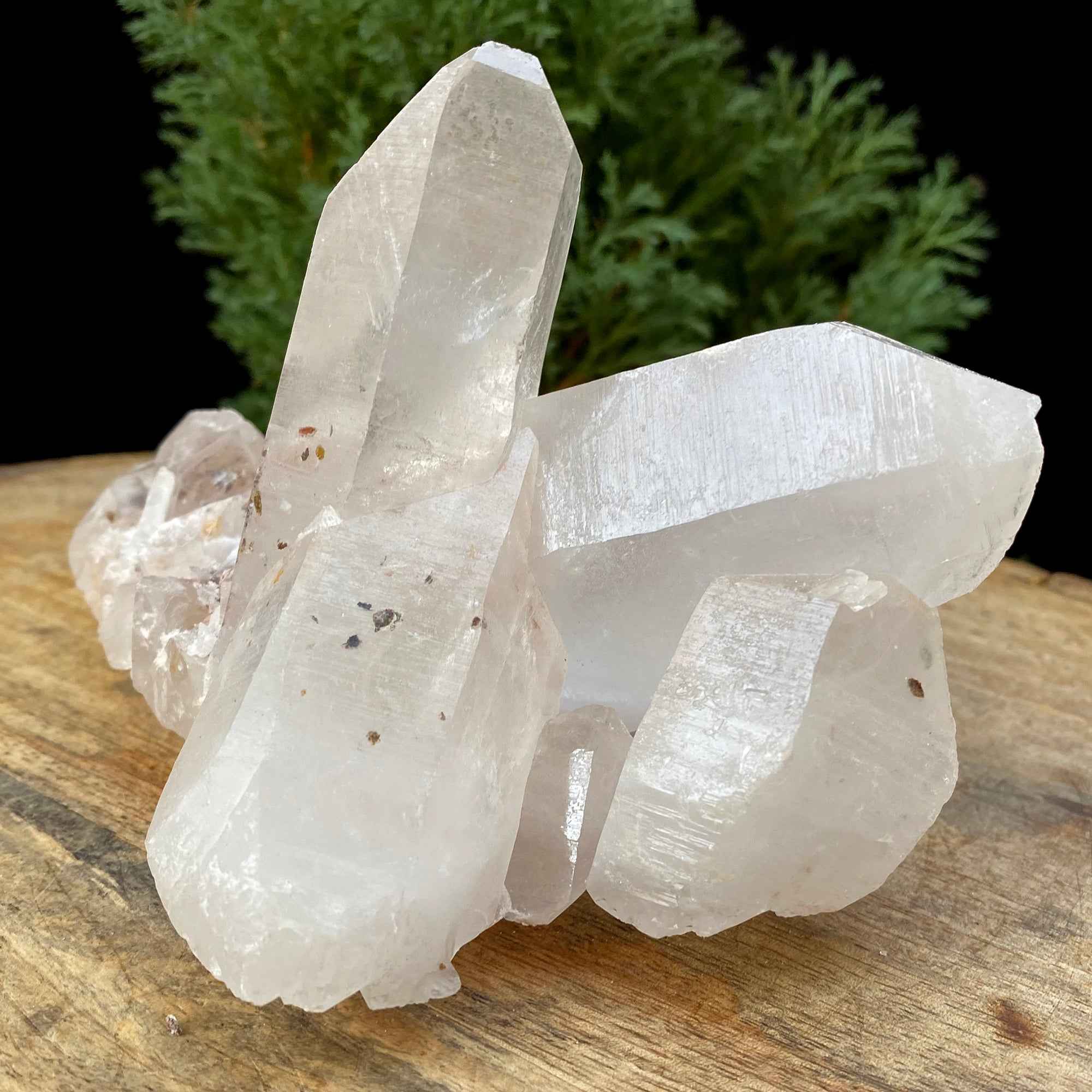 Natural Himalayan White Quartz Cluster 790g