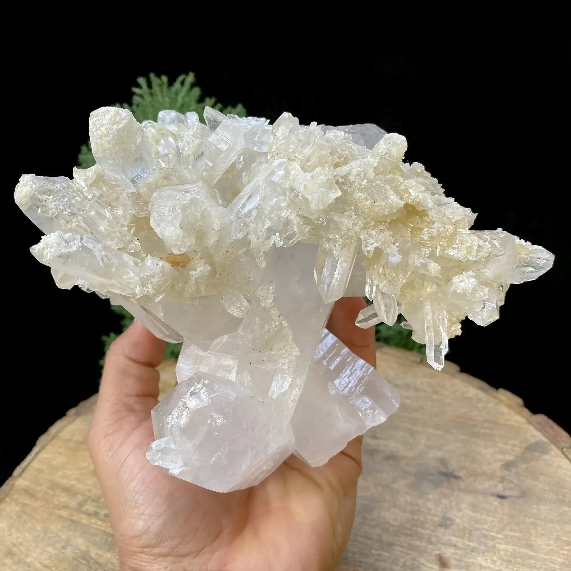 Natural Himalayan White with Yellow Quartz Cluster 1530g Himalayan Quartz