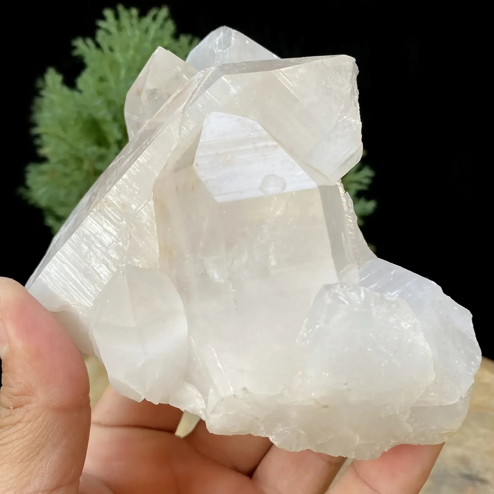 Natural Himalayan White Quartz Cluster 740g Himalayan Quartz