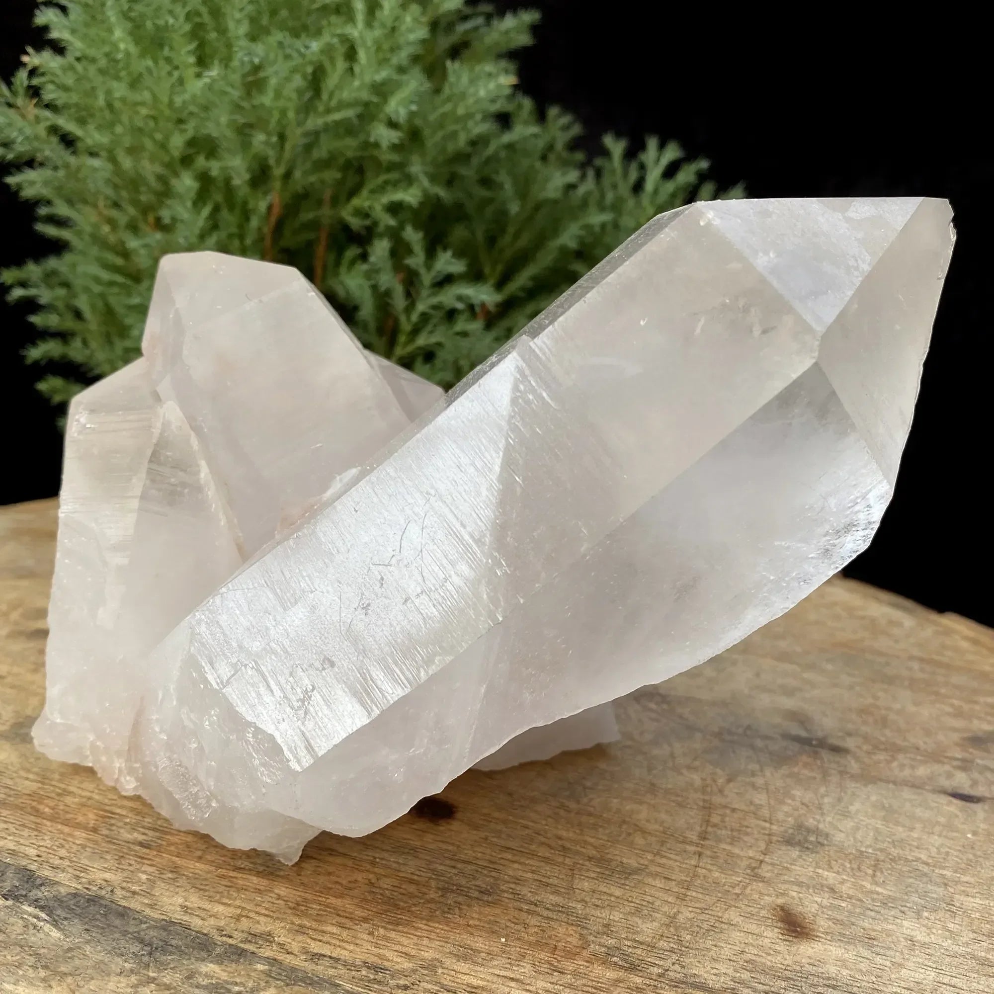 Natural Himalayan White Quartz Cluster 1070g Himalayan Quartz