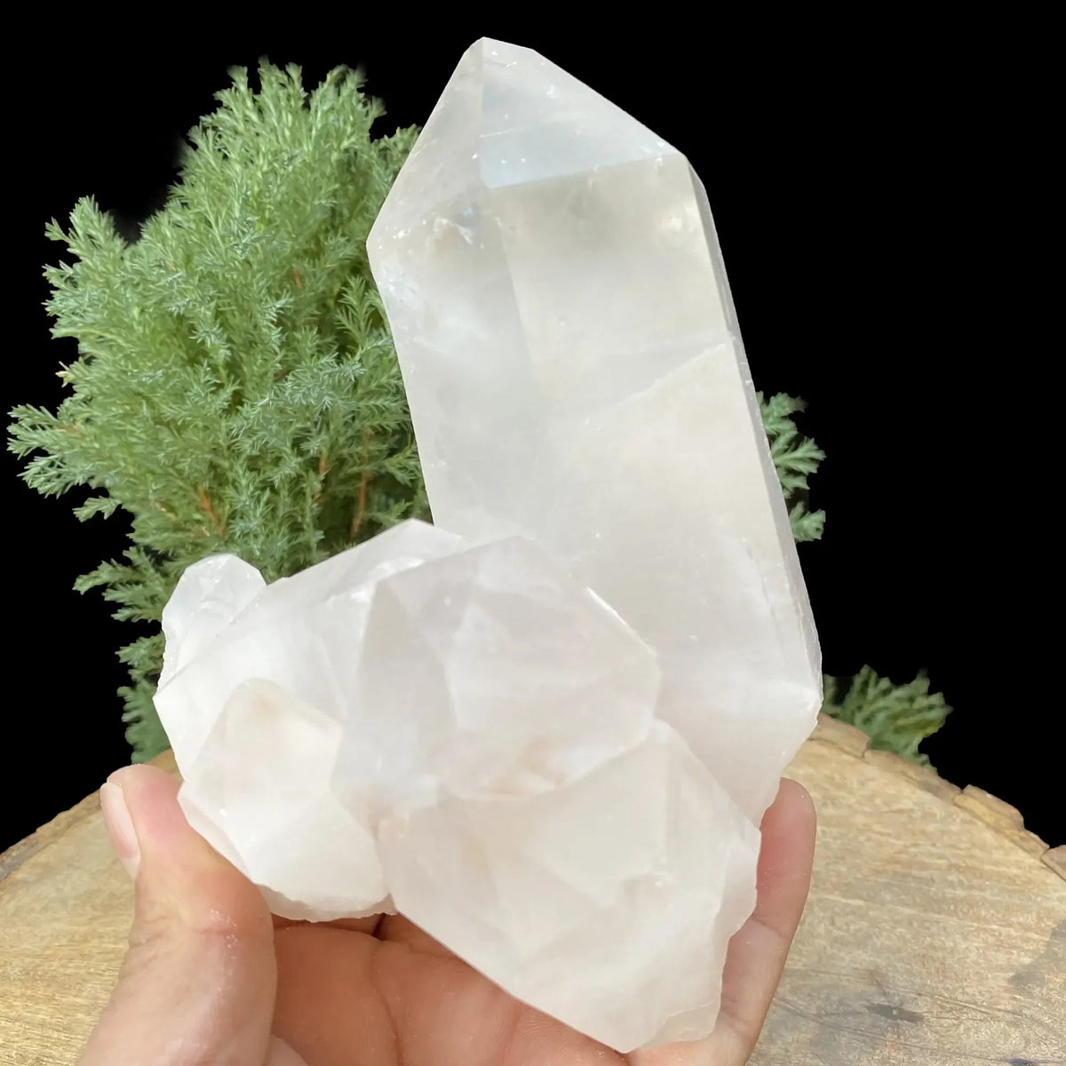 Natural Himalayan White Quartz Cluster 1070g Himalayan Quartz