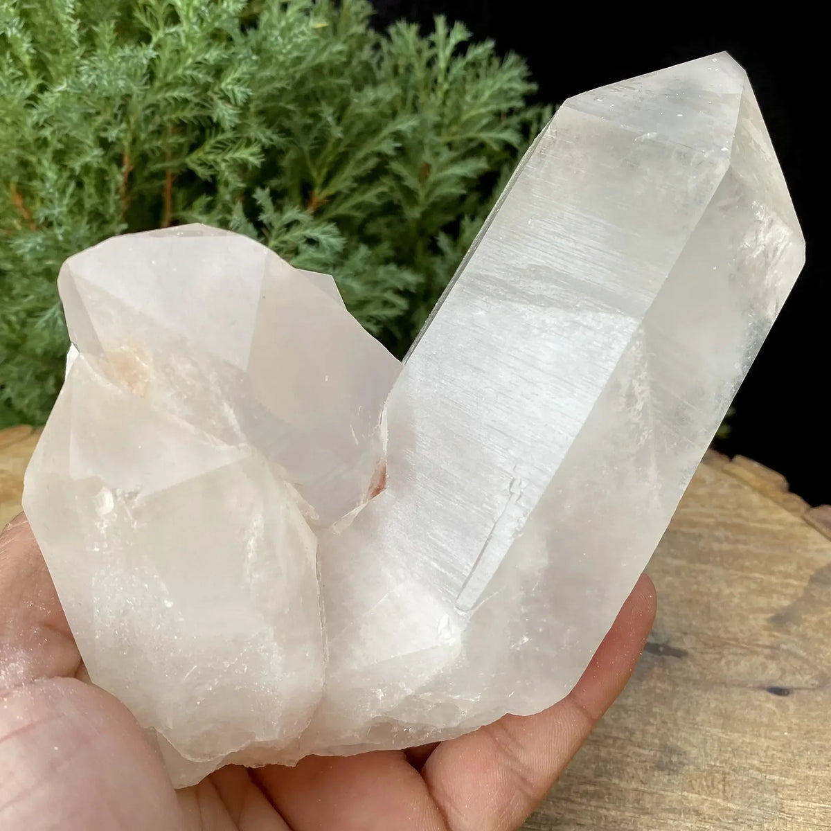 Natural Himalayan White Quartz Cluster 1070g Himalayan Quartz
