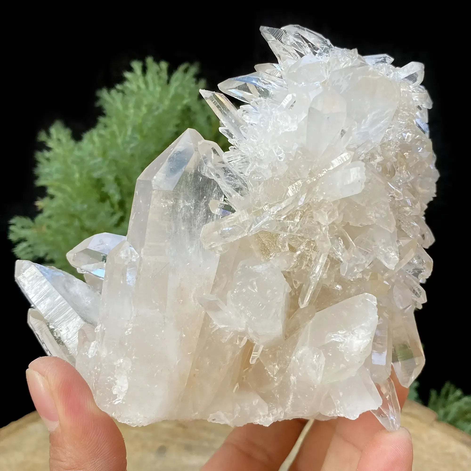 Natural Himalayan White Quartz Cluster 970g Himalayan Quartz