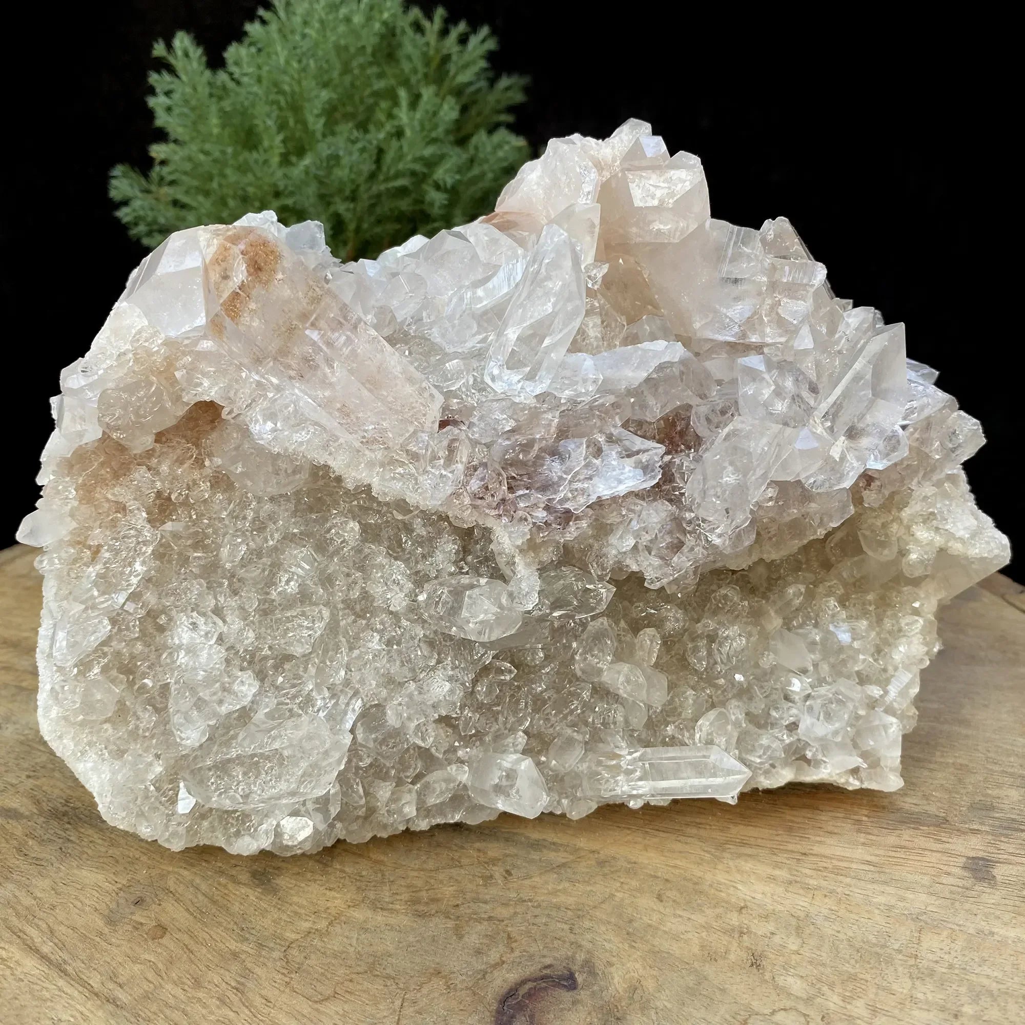 Natural Himalayan Pink & White Quartz Cluster 1720g Himalayan Quartz