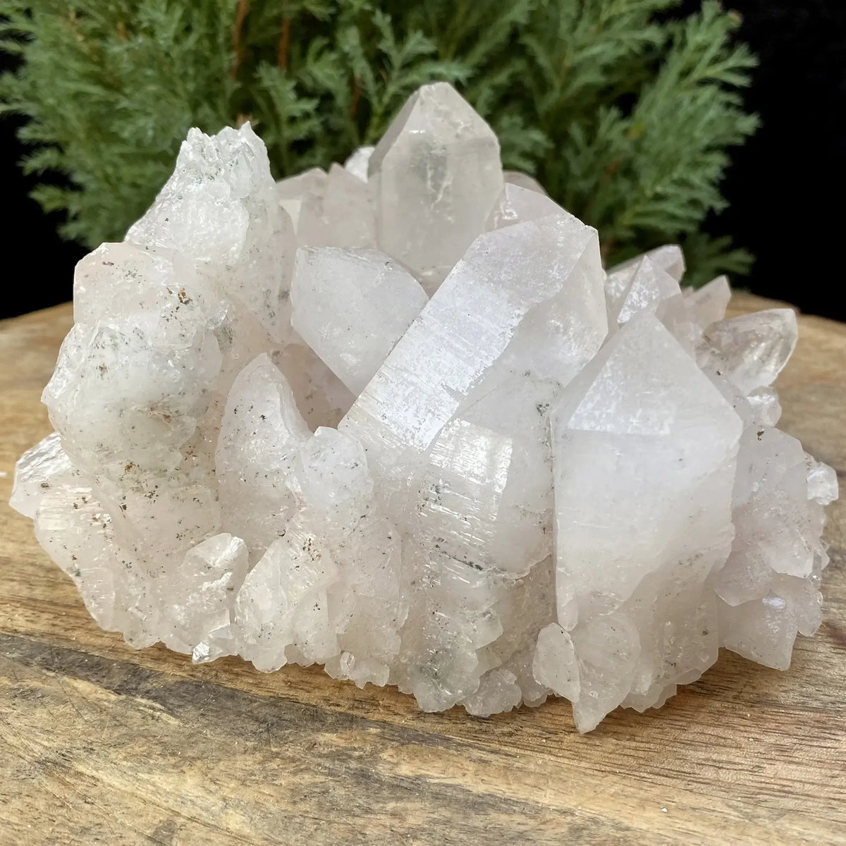 Natural Himalayan White Quartz Cluster 1135g Himalayan Quartz