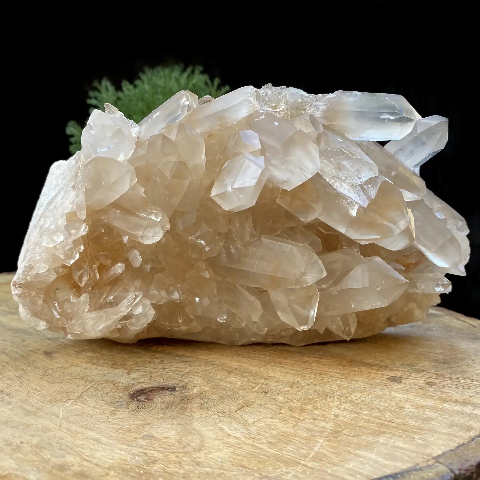 Natural Himalayan Pink Phantom Quartz Cluster 2030g Himalayan Quartz