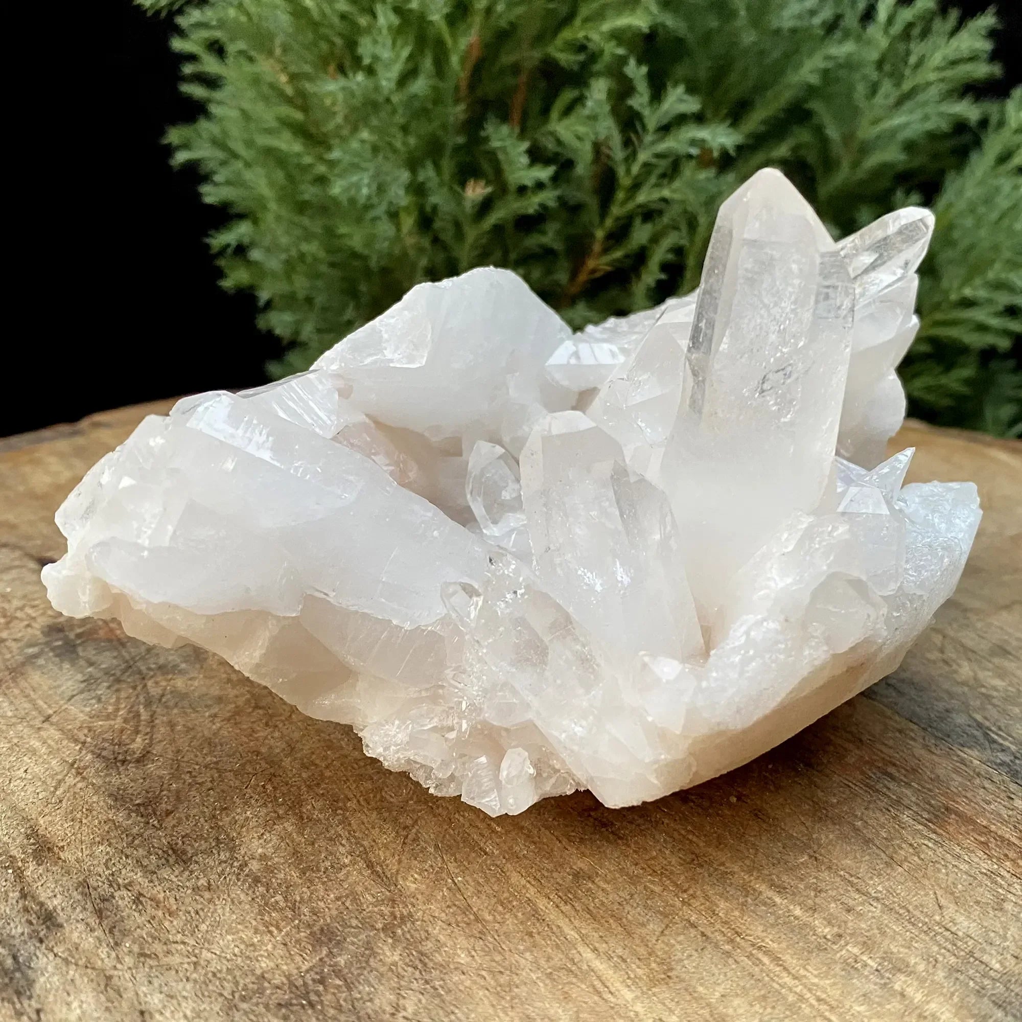 Natural Himalayan White Quartz Cluster 515g Himalayan Quartz