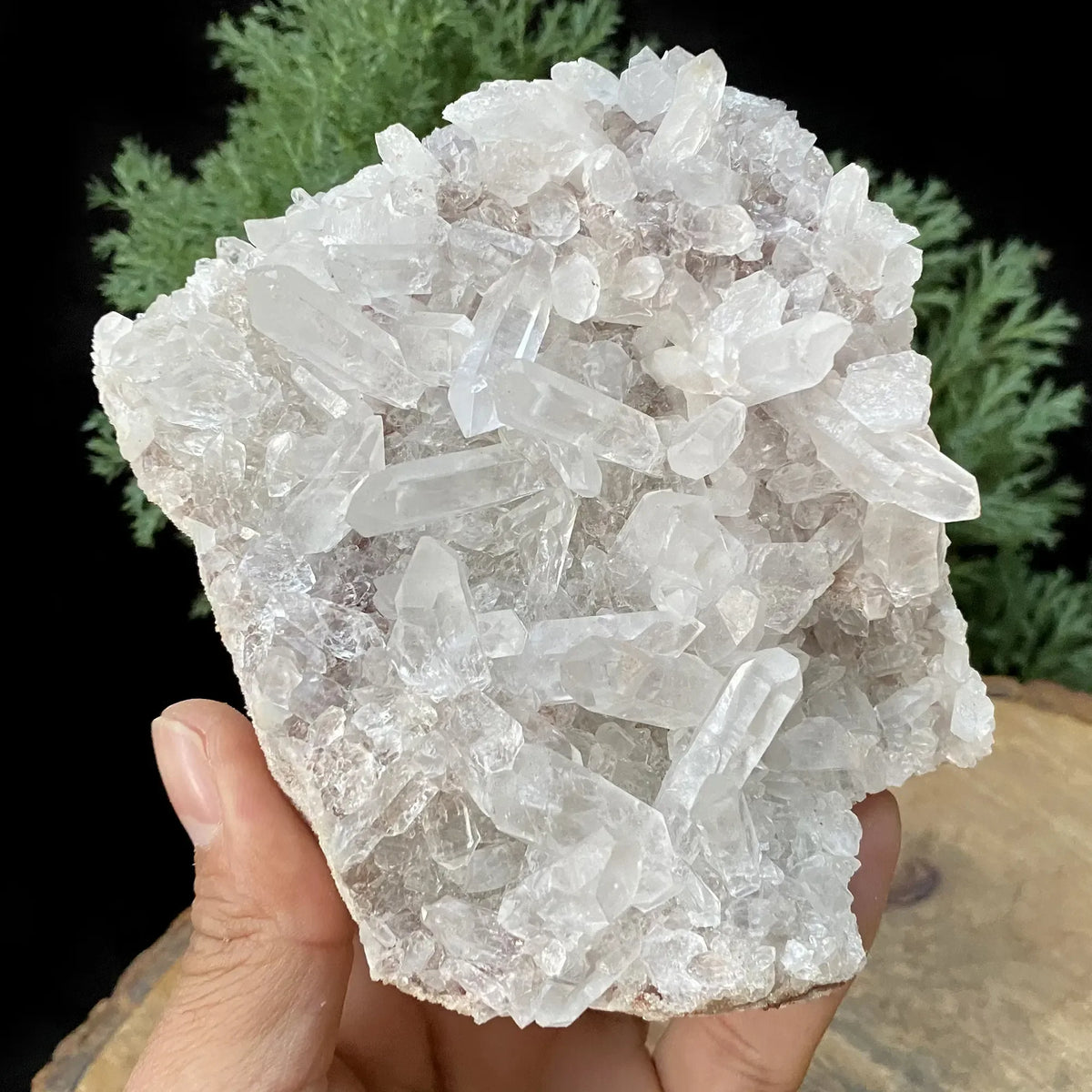 Natural Himalayan White Quartz Cluster Himalayan Quartz