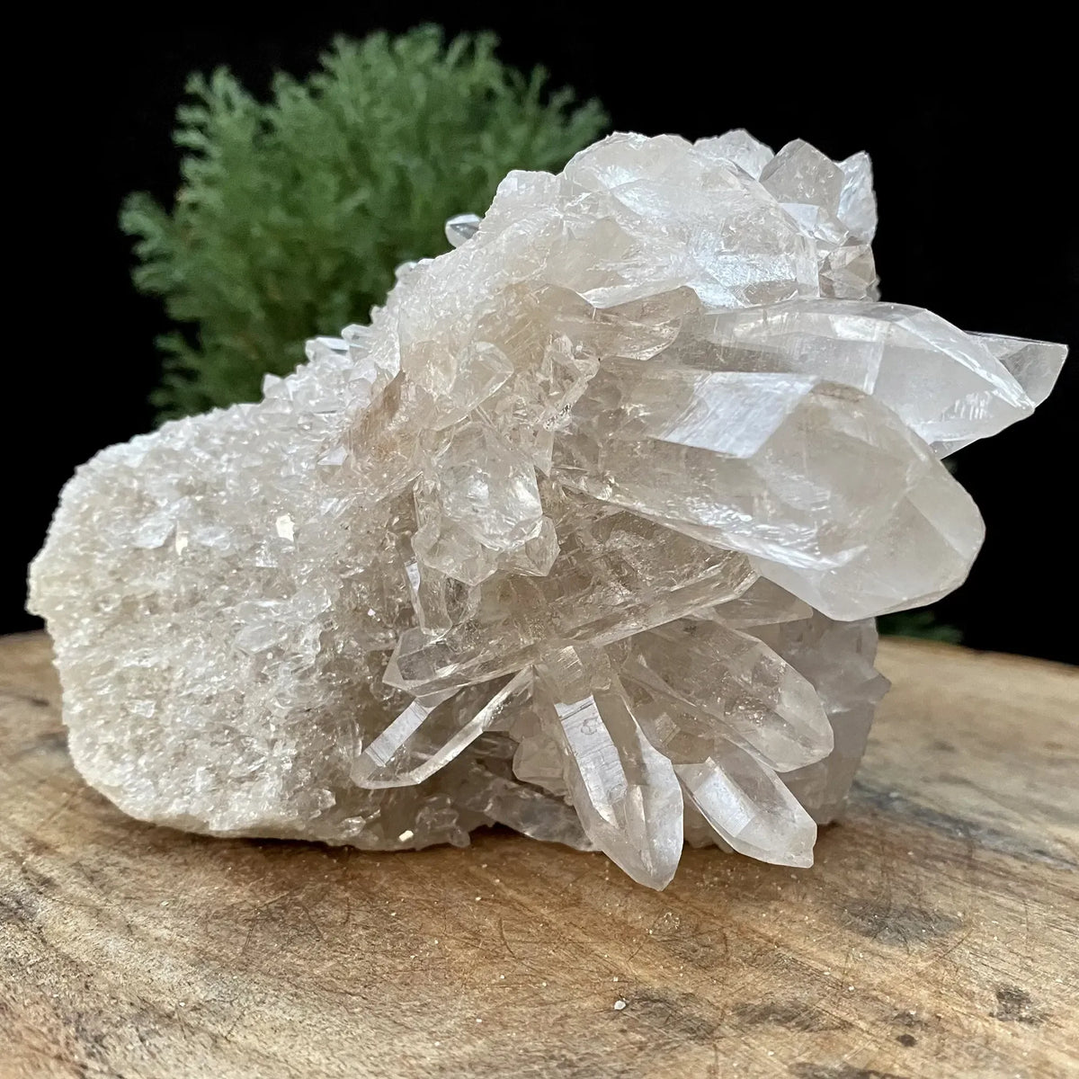 Natural Himalayan White Quartz Cluster 945g Himalayan Quartz