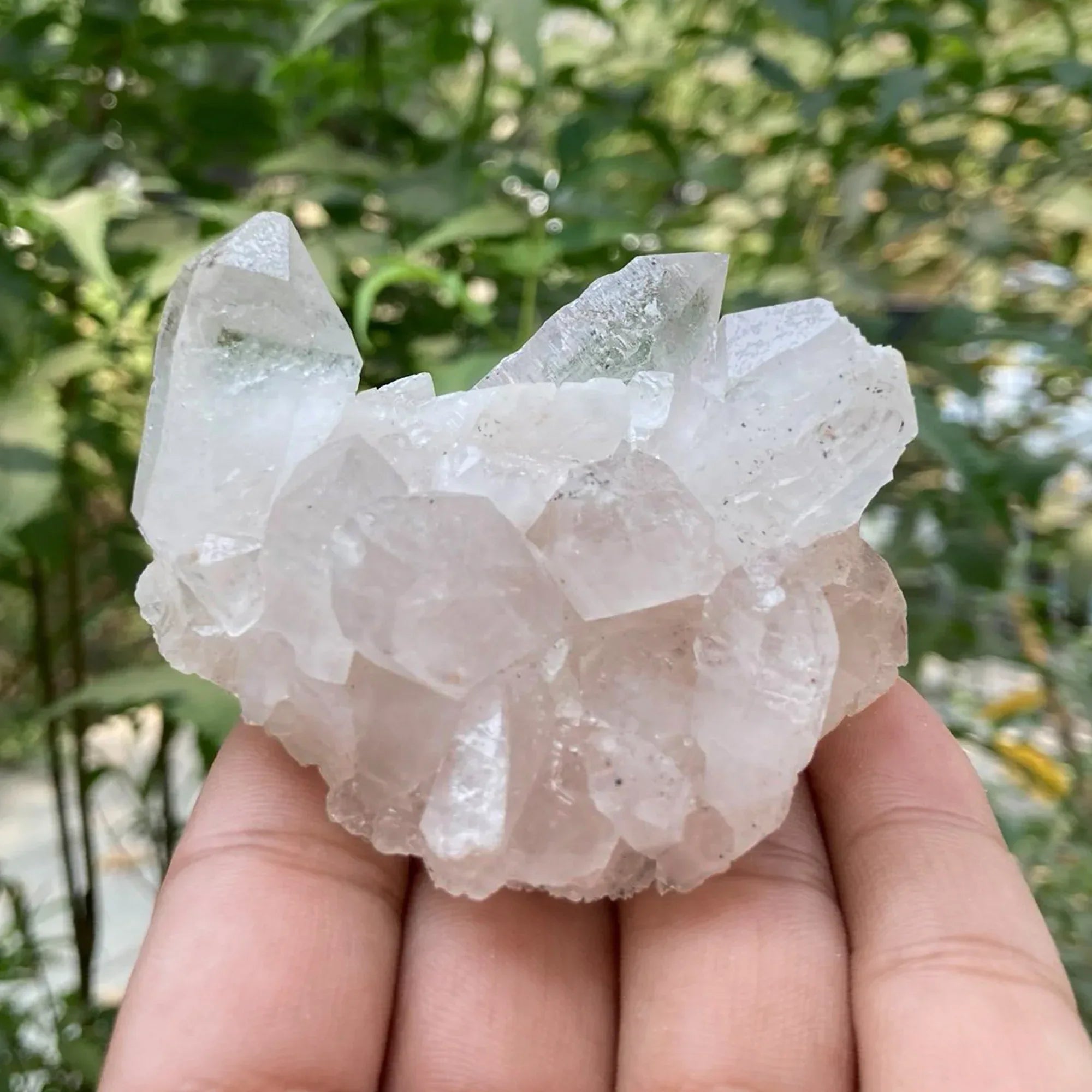 Natural Himalayan White Quartz Cluster 165g Himalayan Quartz