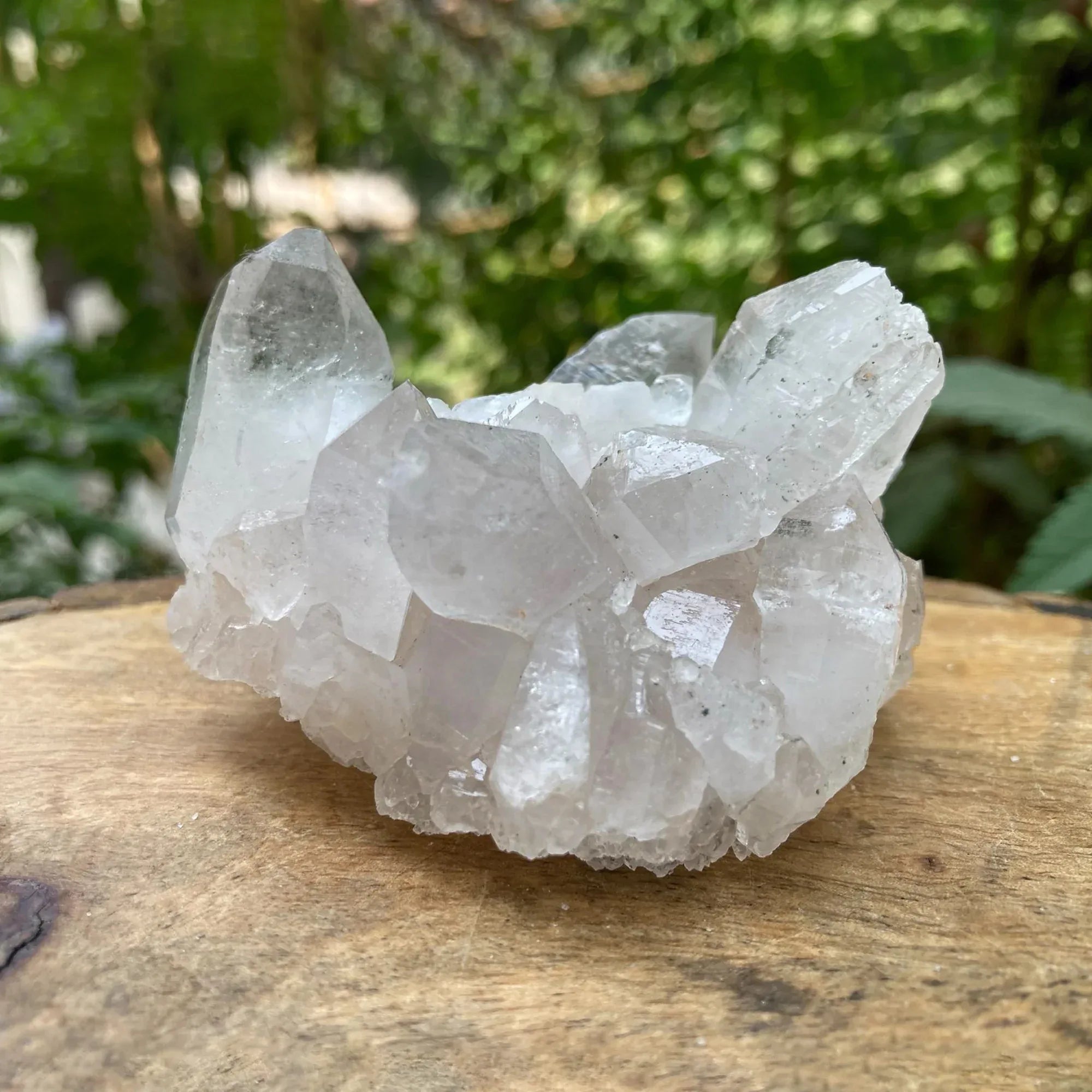 Natural Himalayan White Quartz Cluster 165g Himalayan Quartz