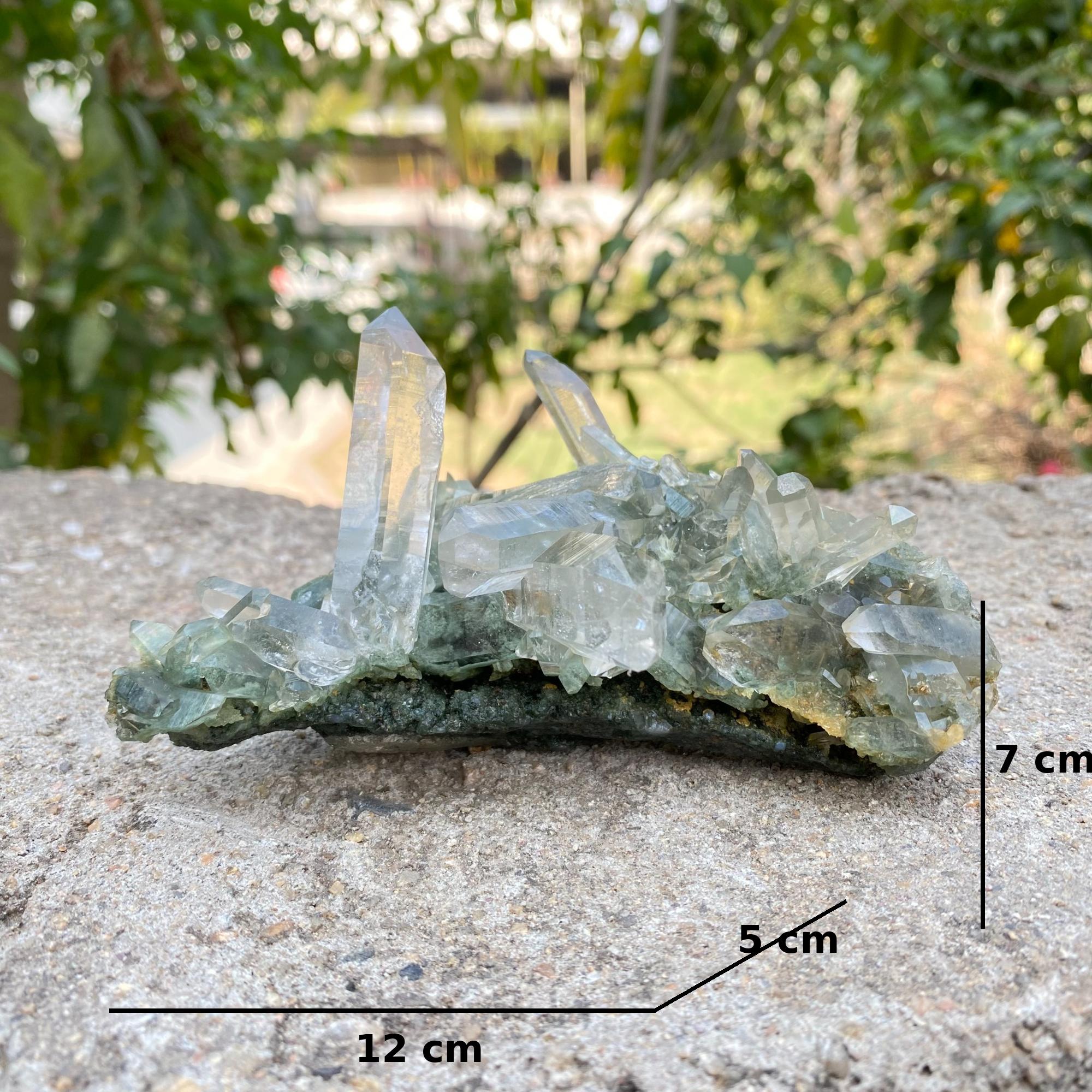 Natural Himalayan Green Chlorite Quartz Crystal Cluster Healing Collector Stone