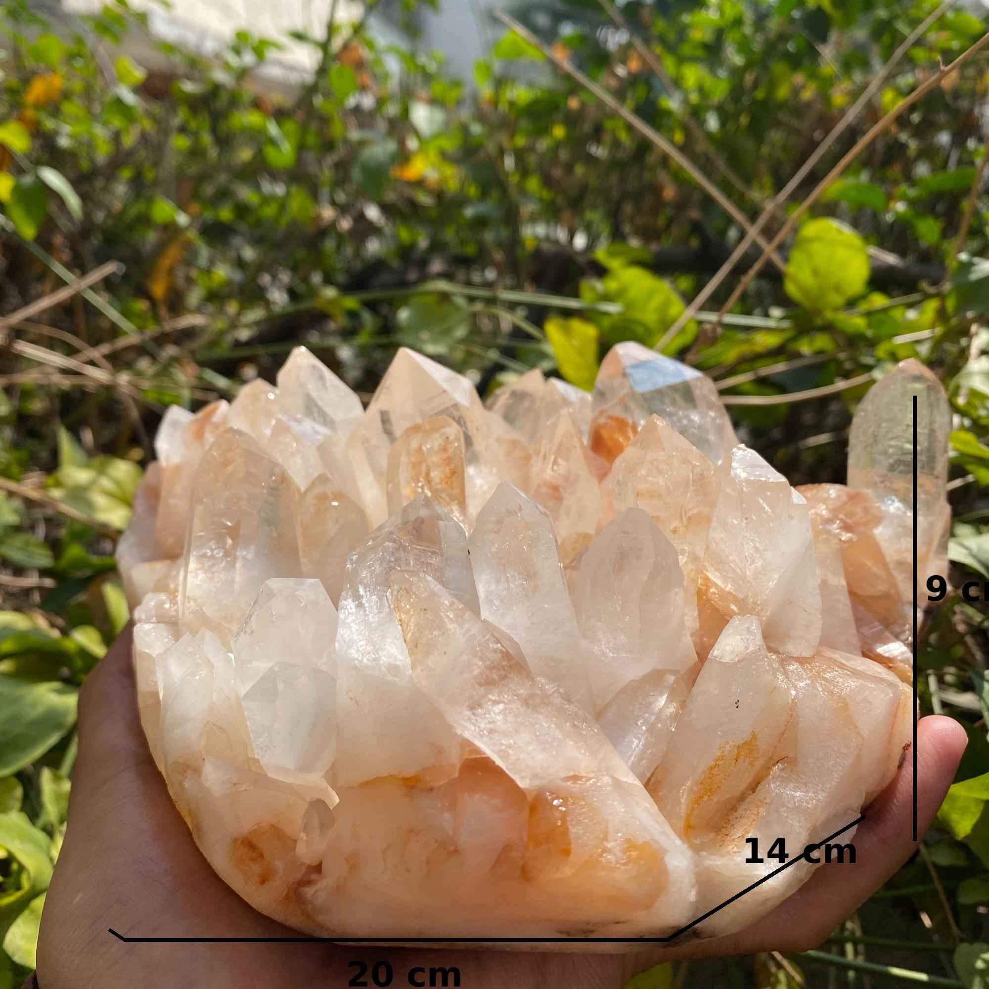 Himalayan Yellow Quartz Cluster 2150g