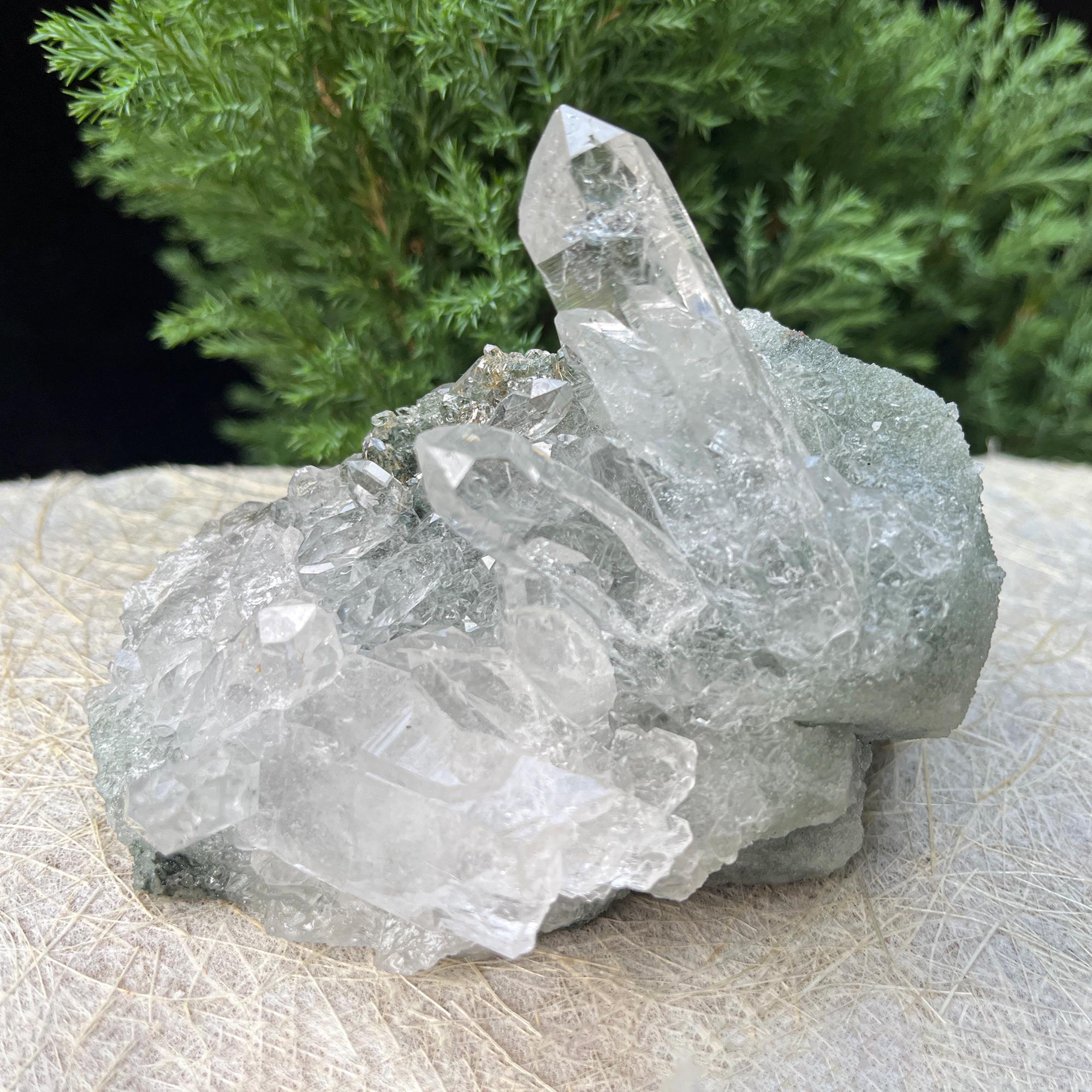 Natural Green Chlorite Quartz Crystal 440gm Himalayan Manihar Cluster Raw Pointed Specimen Rough Cluster